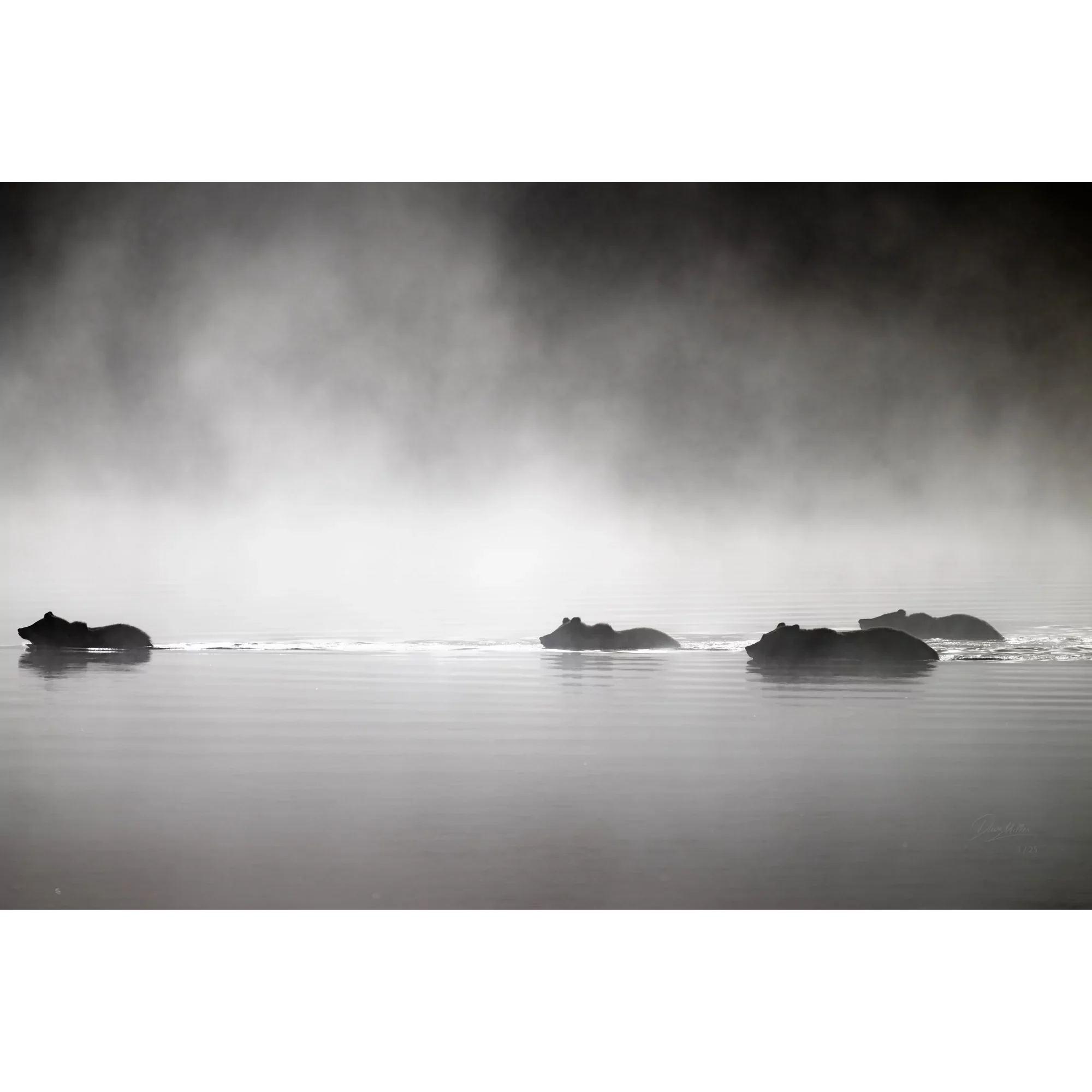 Through the Mist