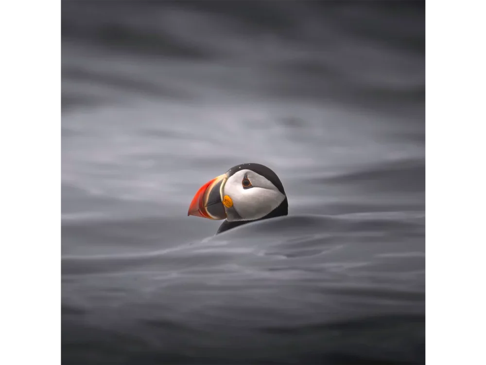 _DSC1034-Edit-Edit11.webp