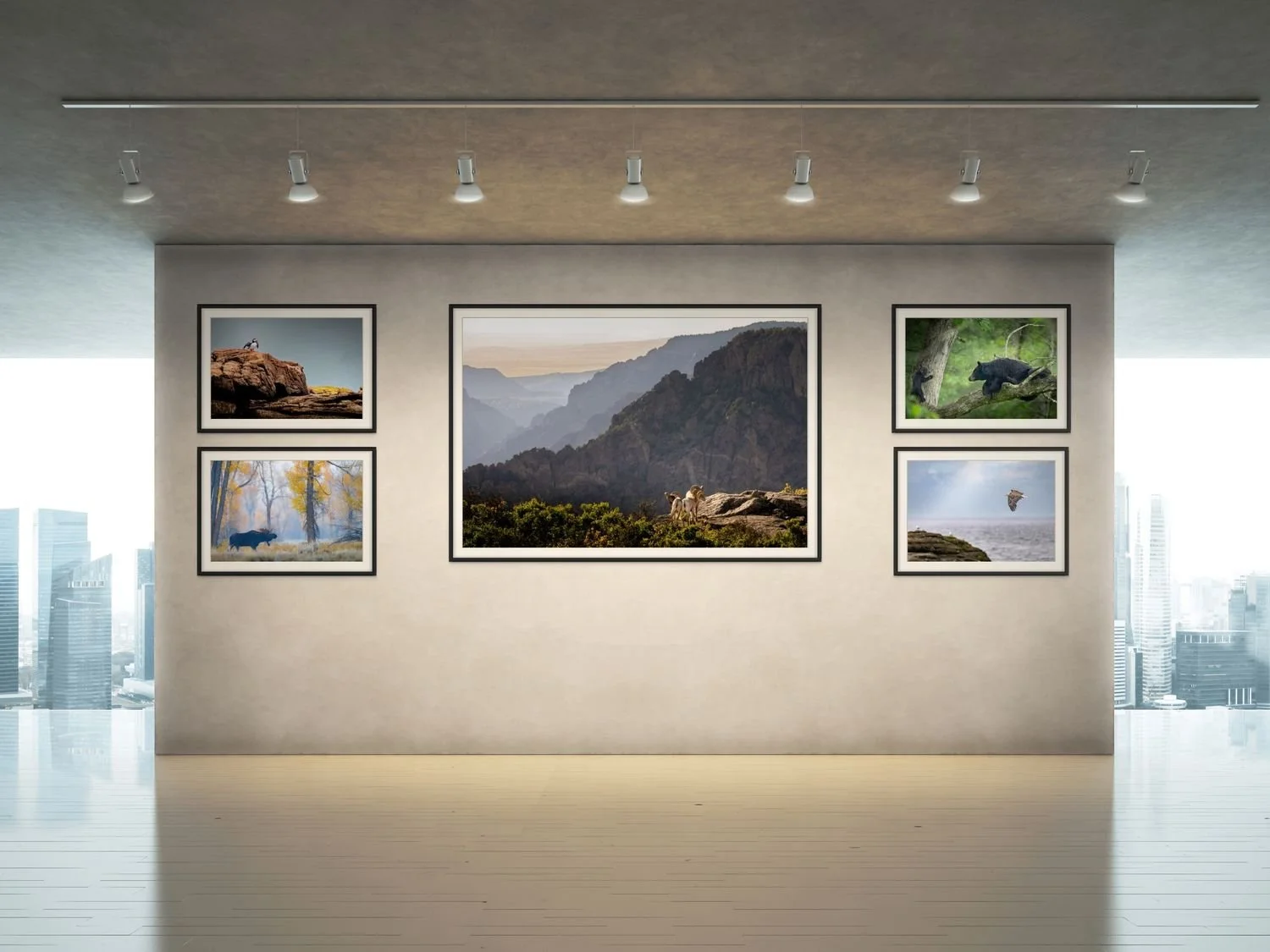 7 Reasons Why Open Edition Nature Prints Are Better Than Limited Edition Prints