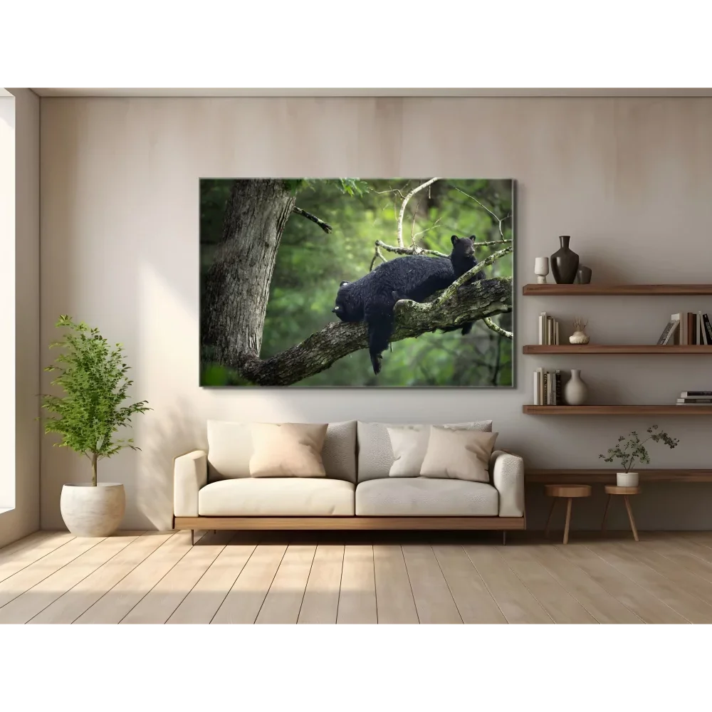 tiny guardianRoom1.webp