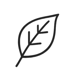 leaf icon denoting ethical field practices