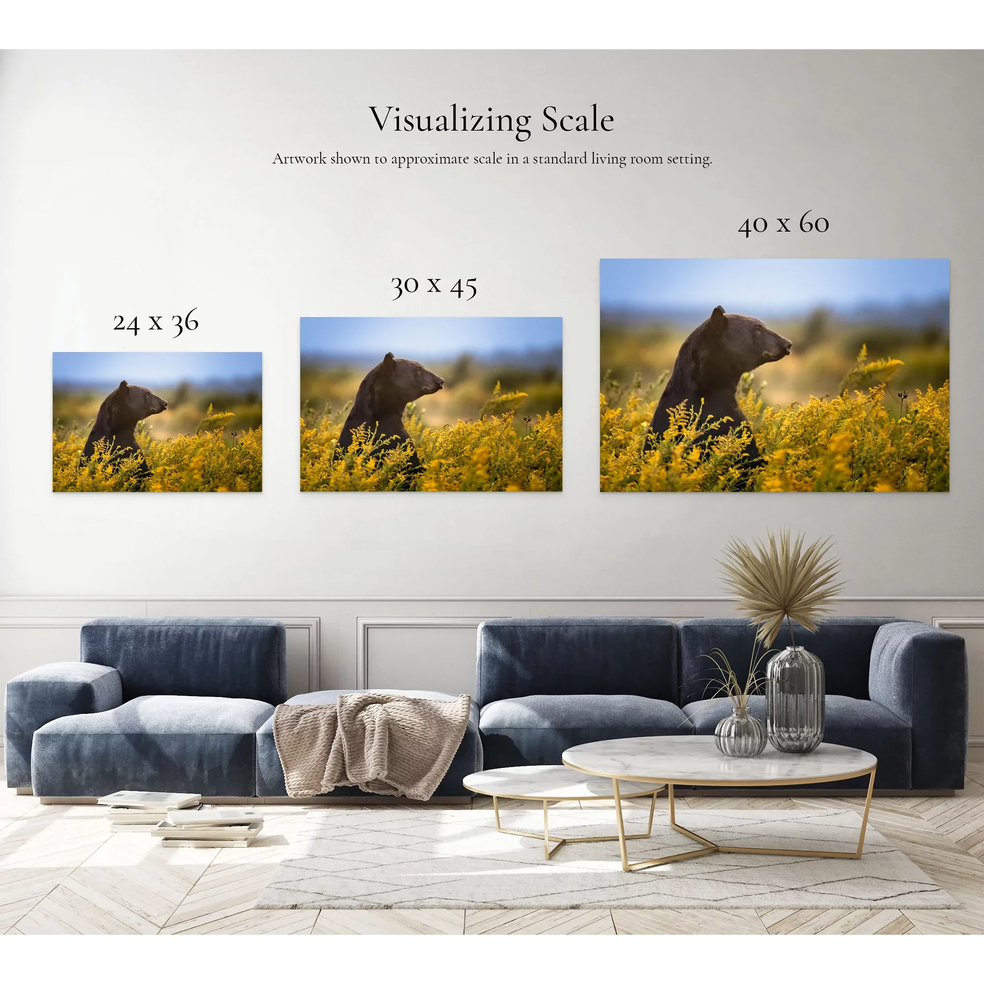 Golden Meadow | Dave Miller - Images of Natural Splendor