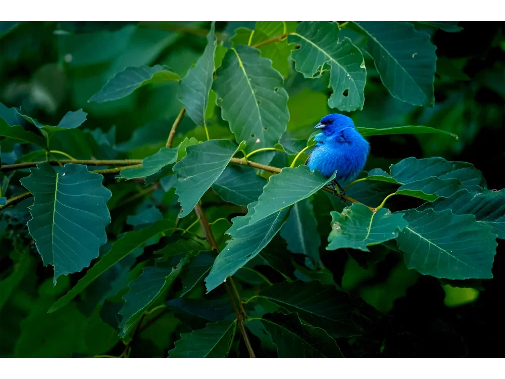 _DSC0258-Edit-3.webp