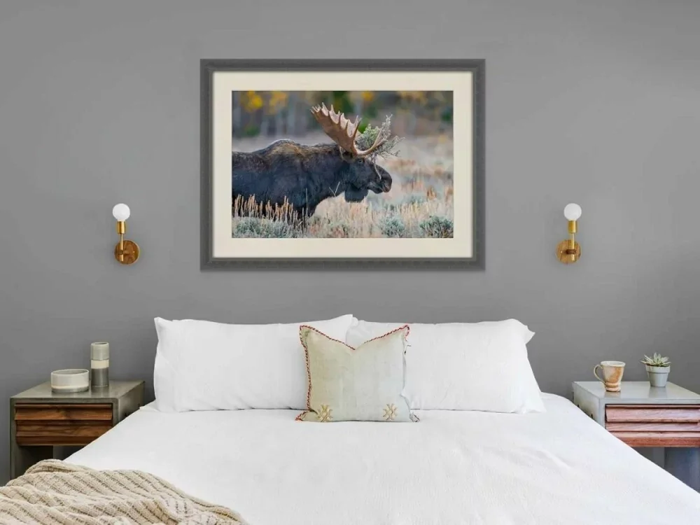 Crown of Sagebrush – Grand Teton National Park | Dave Miller - Images of Natural Splendor