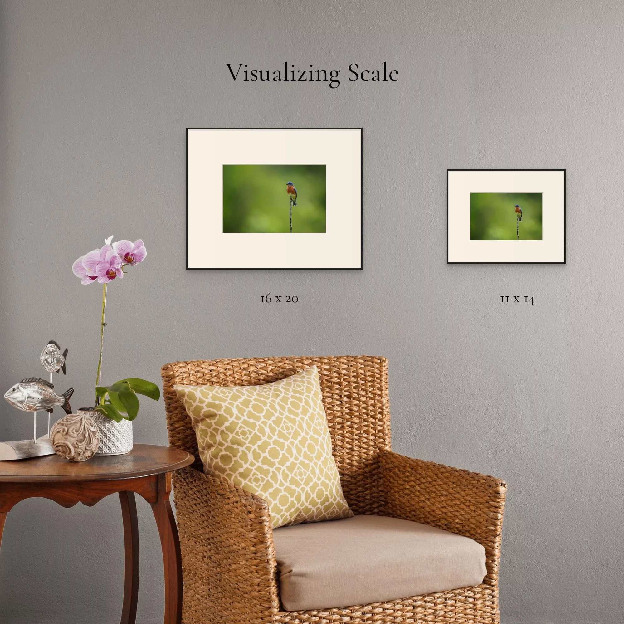 Still Perch | Dave Miller - Images of Natural Splendor