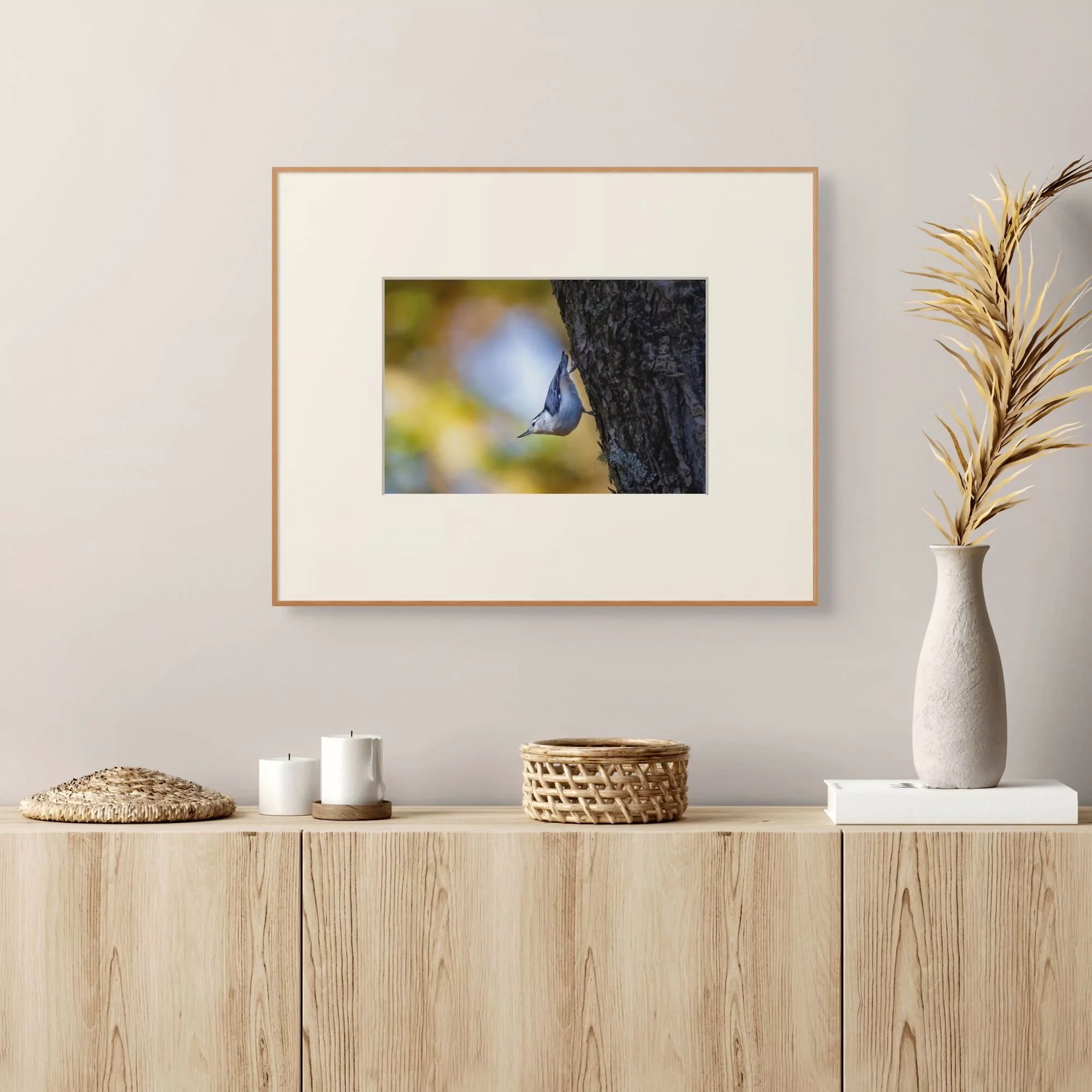 Autumn Acrobat | Dave Miller - Images of Natural Splendor