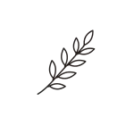 Black silhouette of an oak leaf.