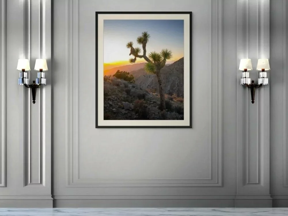 Desert Horizon – Joshua Tree National Park | Dave Miller - Images of Natural Splendor