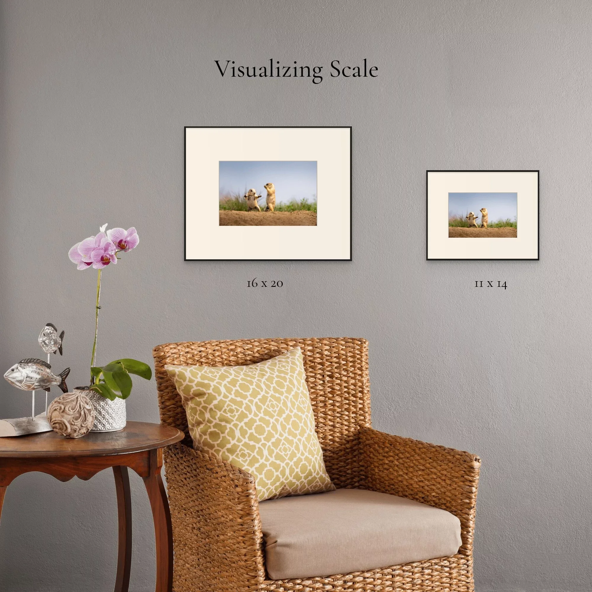 Tiny Arguments | Dave Miller - Images of Natural Splendor