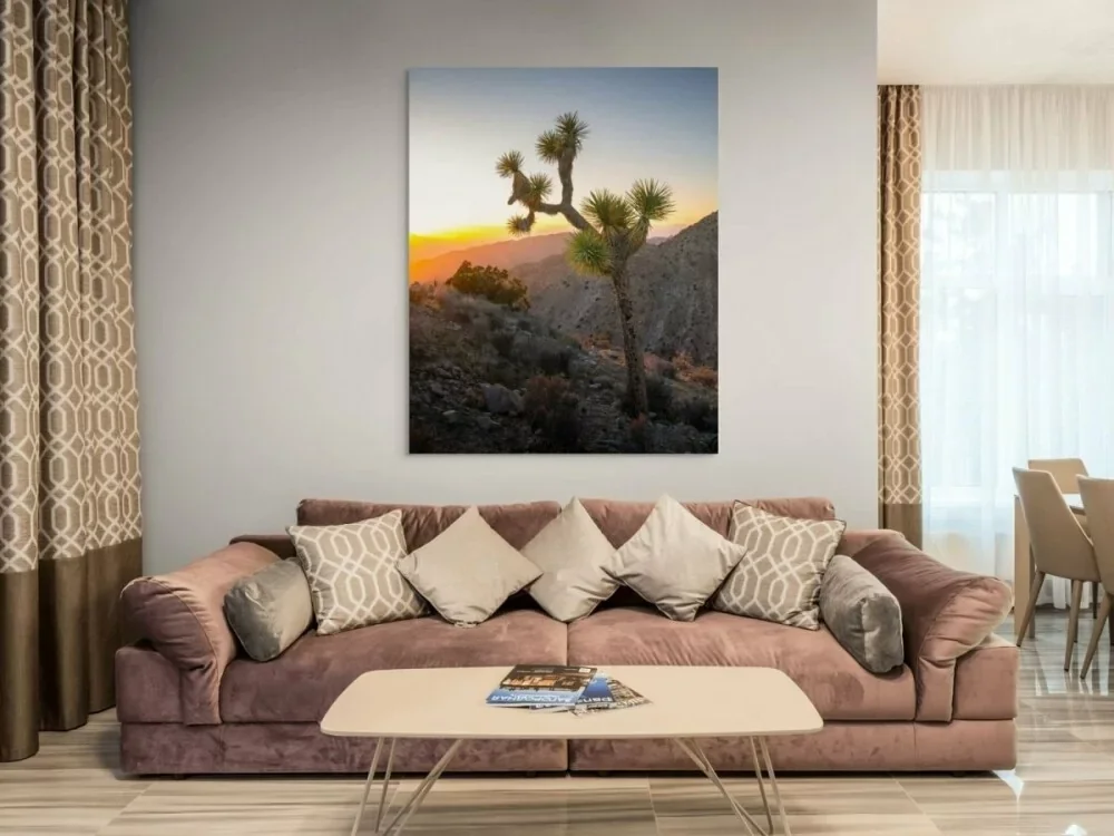 Desert Horizon – Joshua Tree National Park | Dave Miller - Images of Natural Splendor
