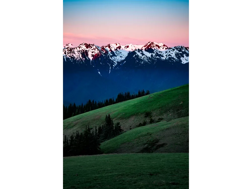 _DSC4943-Edit-9208dfb801810a8ea0e9aa093c28bf0d.webp