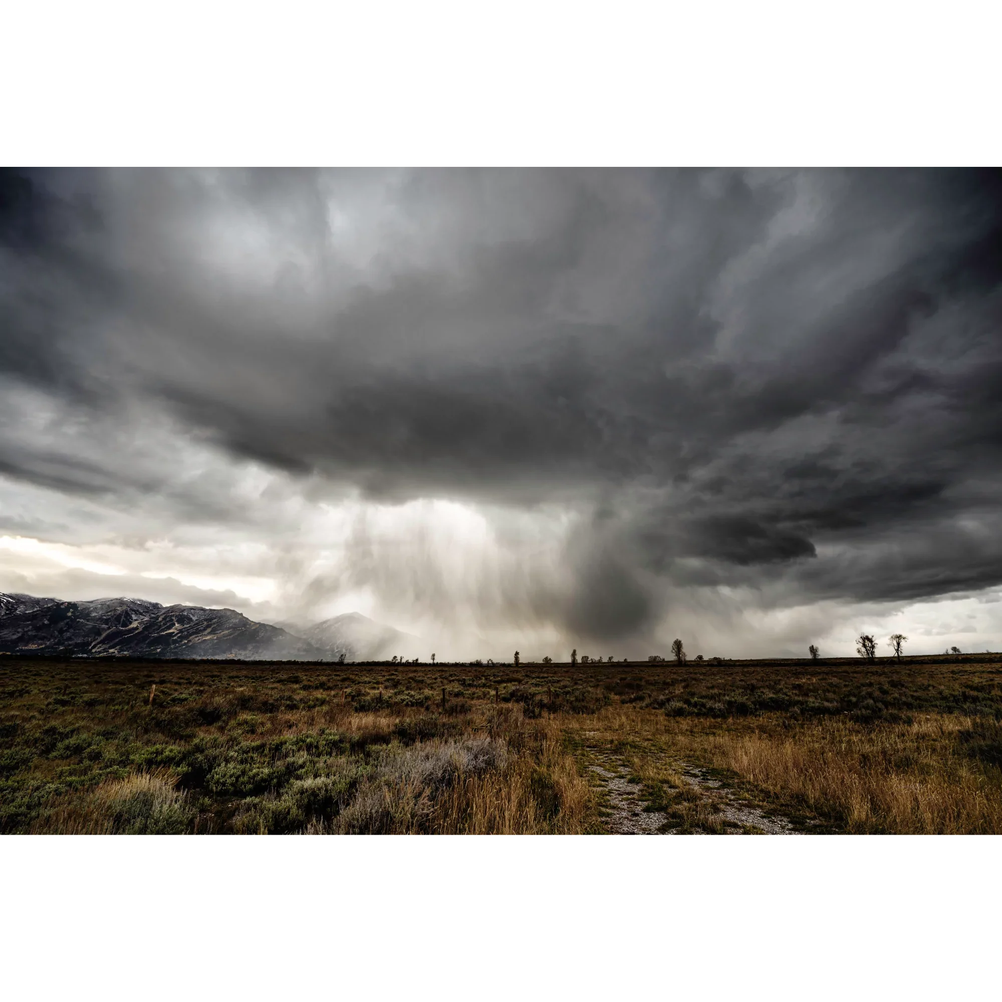 Breaking Storm