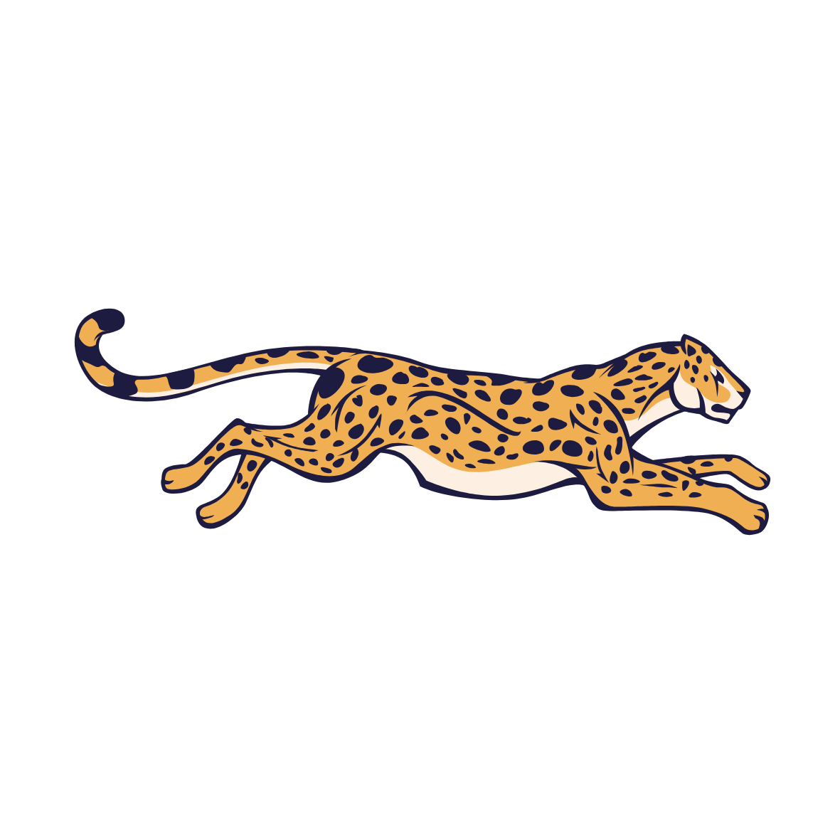 15.png