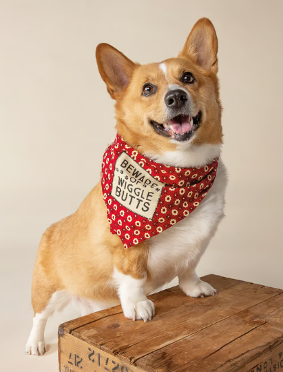 Bandana - Wigglebutts, lifestyle.png