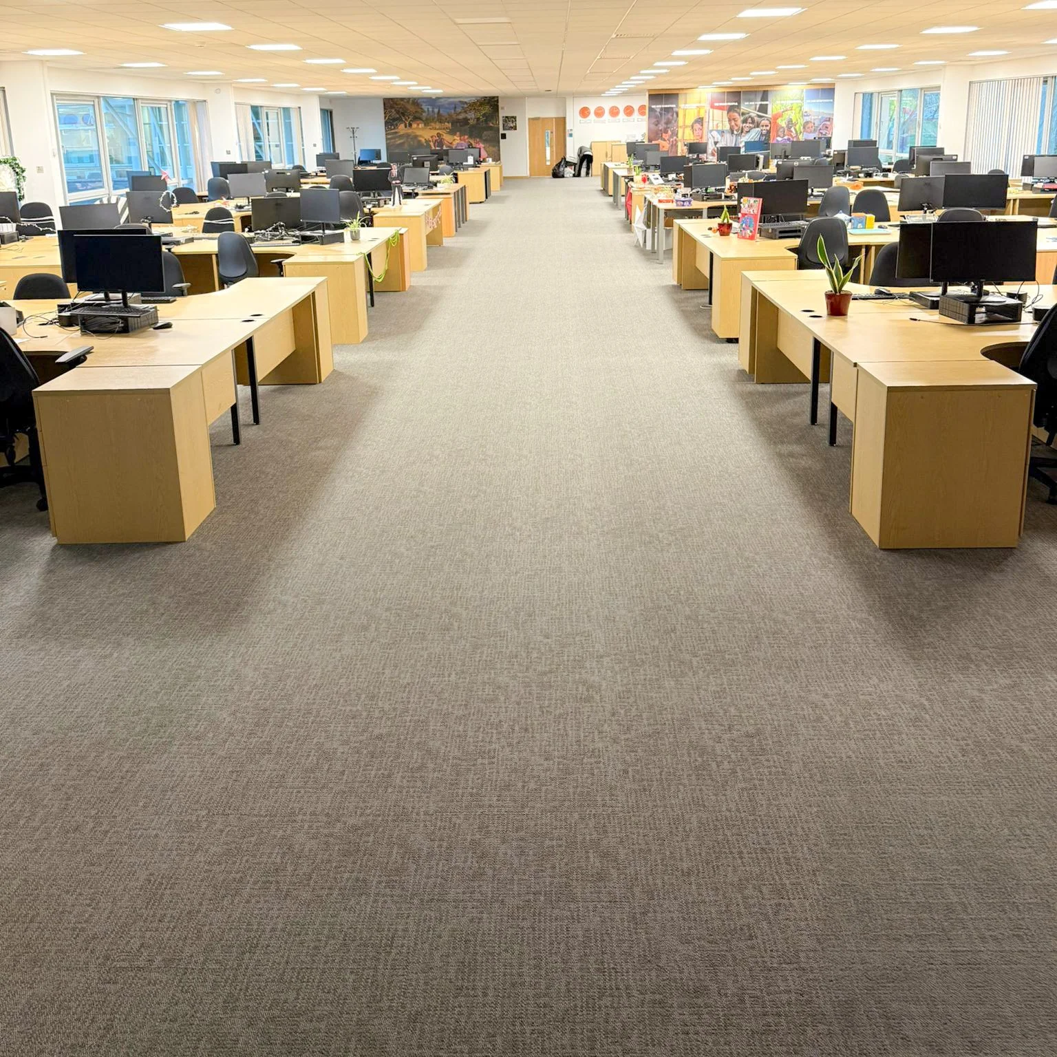 PDQ - Mango office 2.jpg