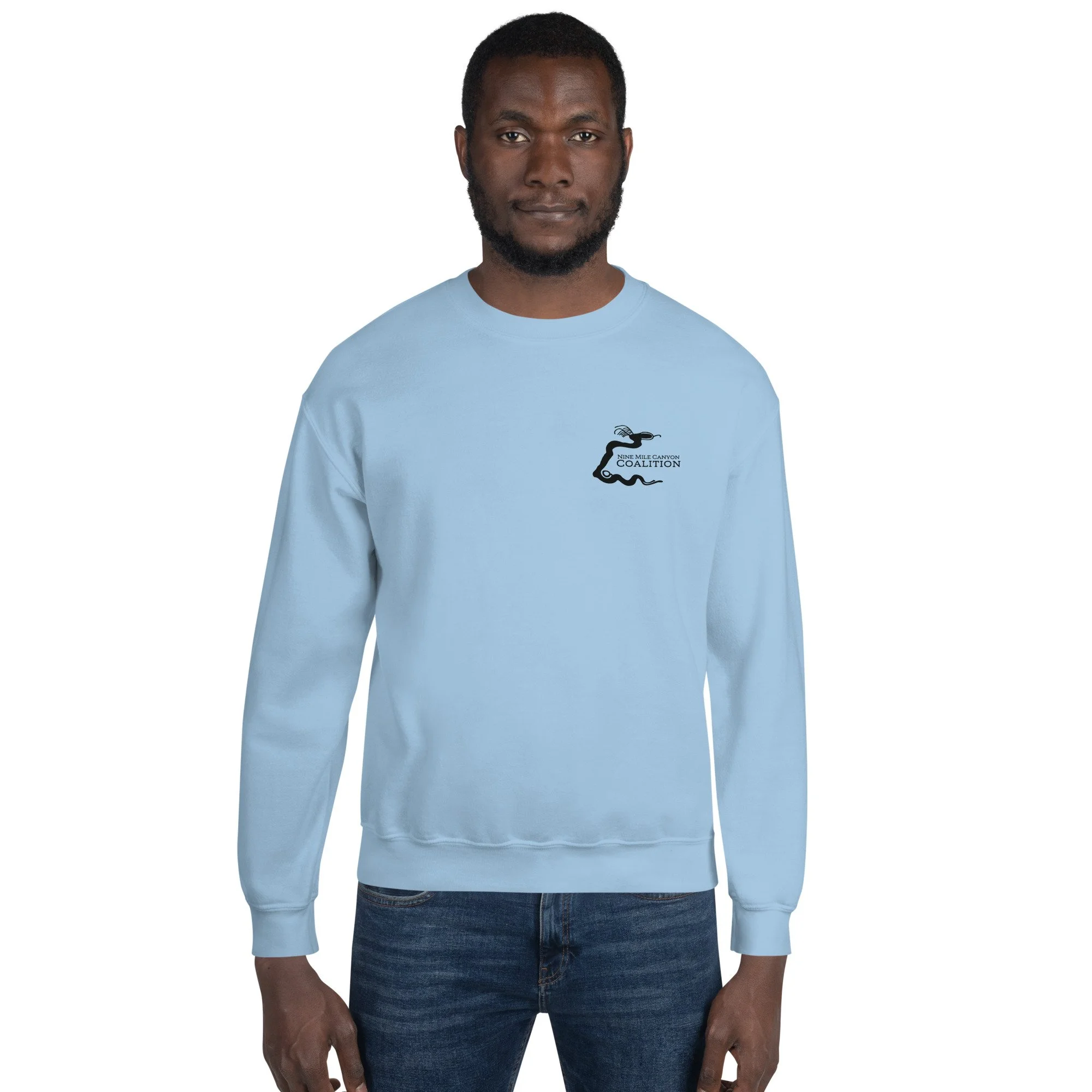 unisex-crew-neck-sweatshirt-light-blue-front-2-64b00a662696e.jpg