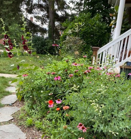 Annual Spring Perennial Exchange