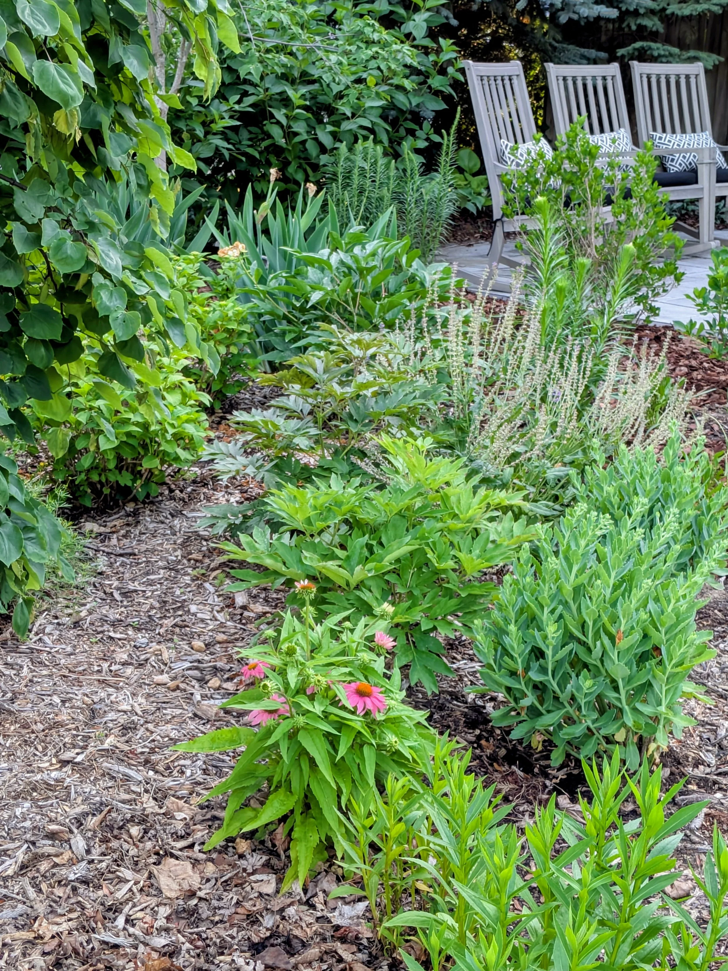 Semi-Annual Perennial Plant Exchange