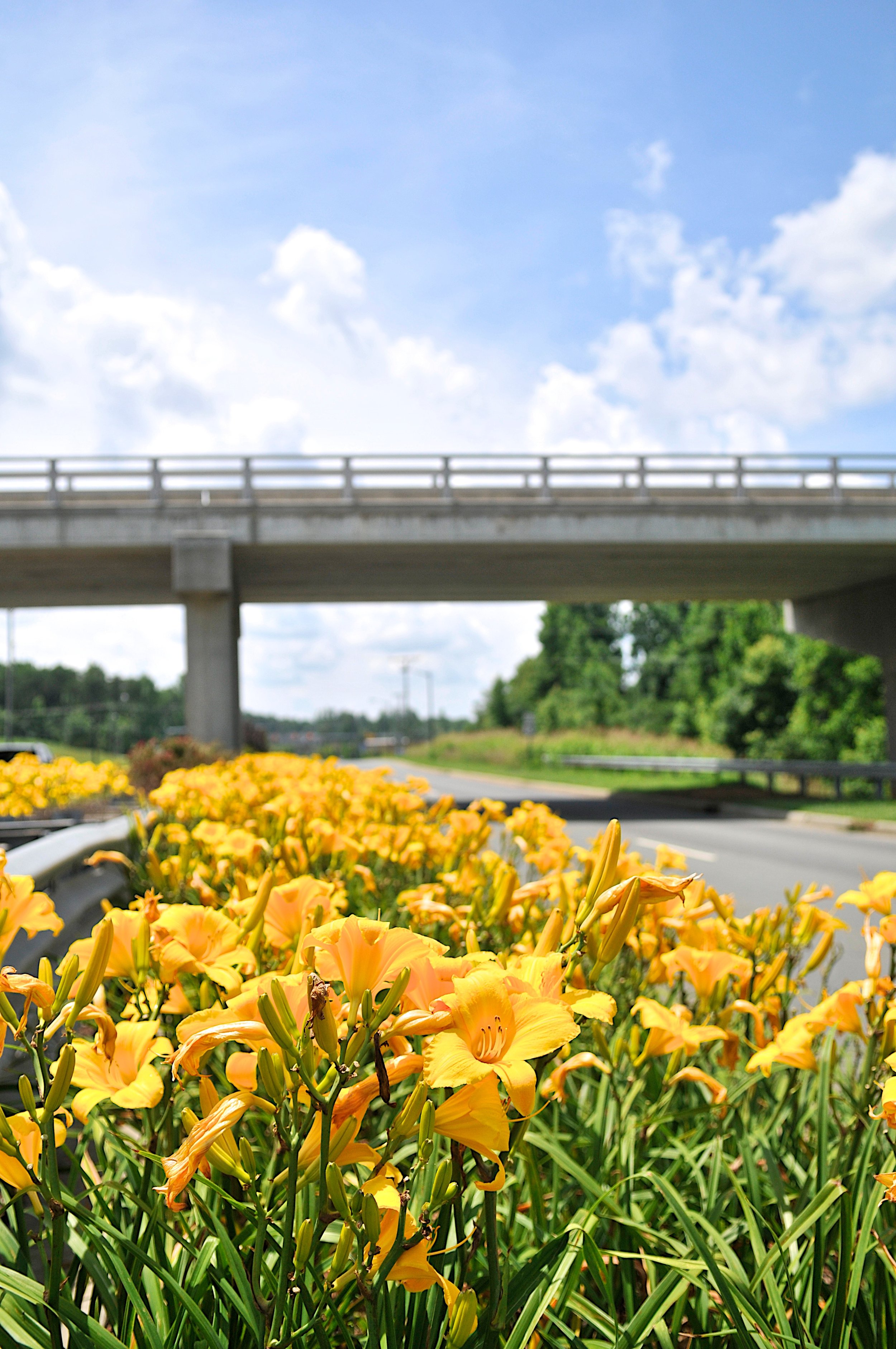 University Drive (Hwy 70 to Manning Ave)