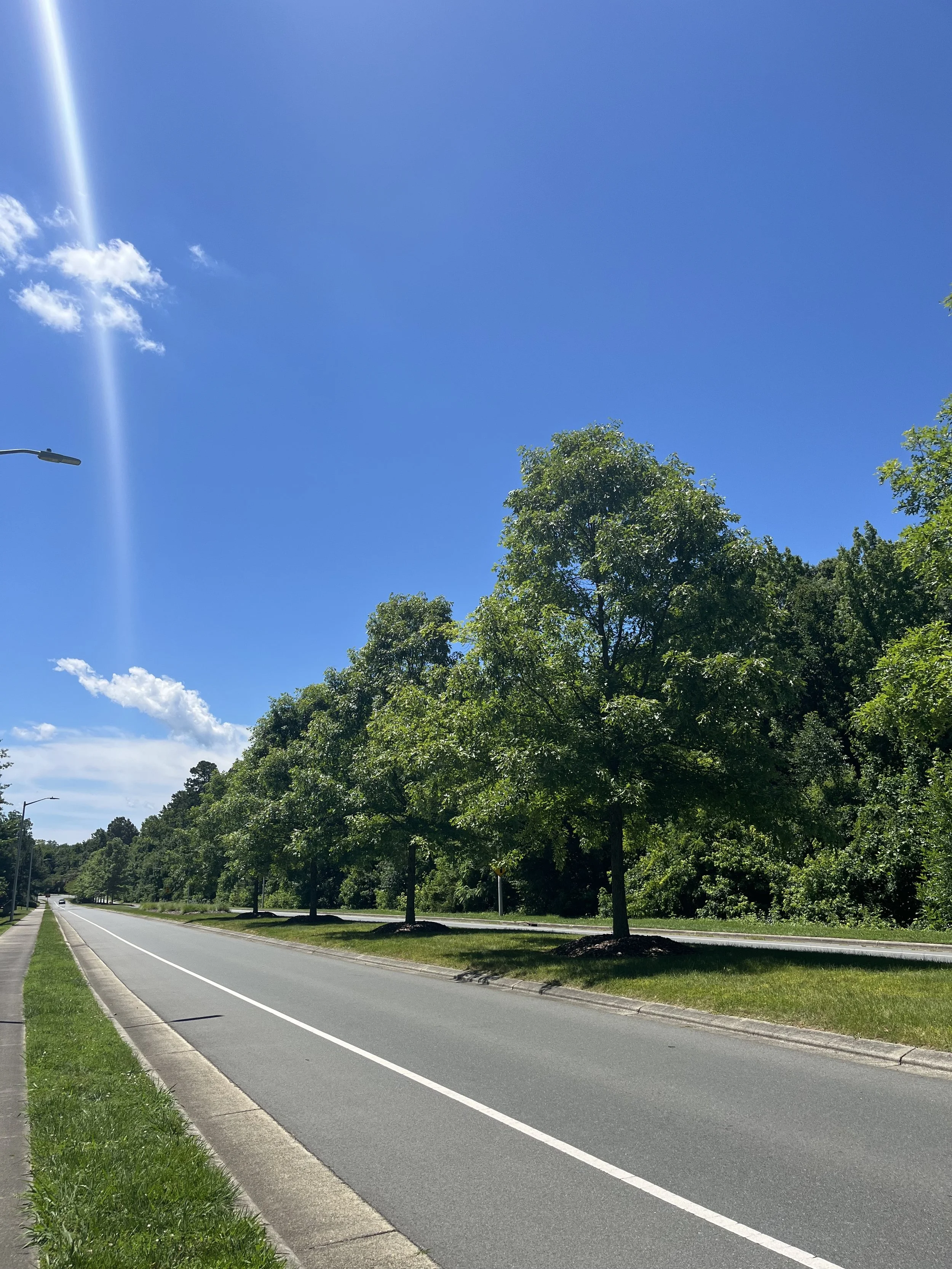 Rockwood Avenue &amp; O’Neal Street