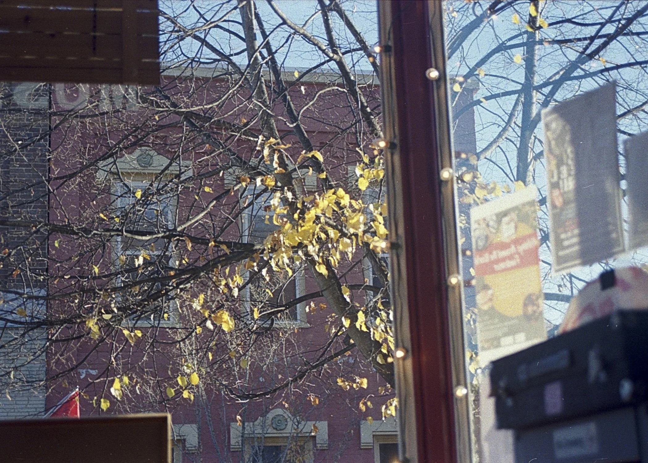 outsidemywindow.jpg