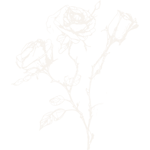 Line drawing of three roses with thorns representing enemies-to-lovers and emotional intensity in dark romance books by Kaitlyn L. Hill.