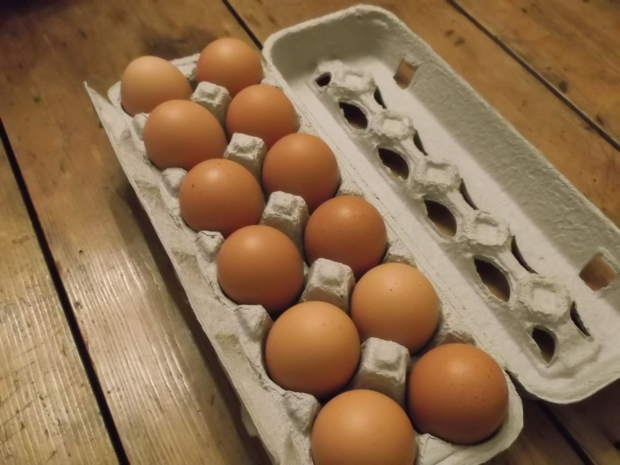 eggs dozen.jpg