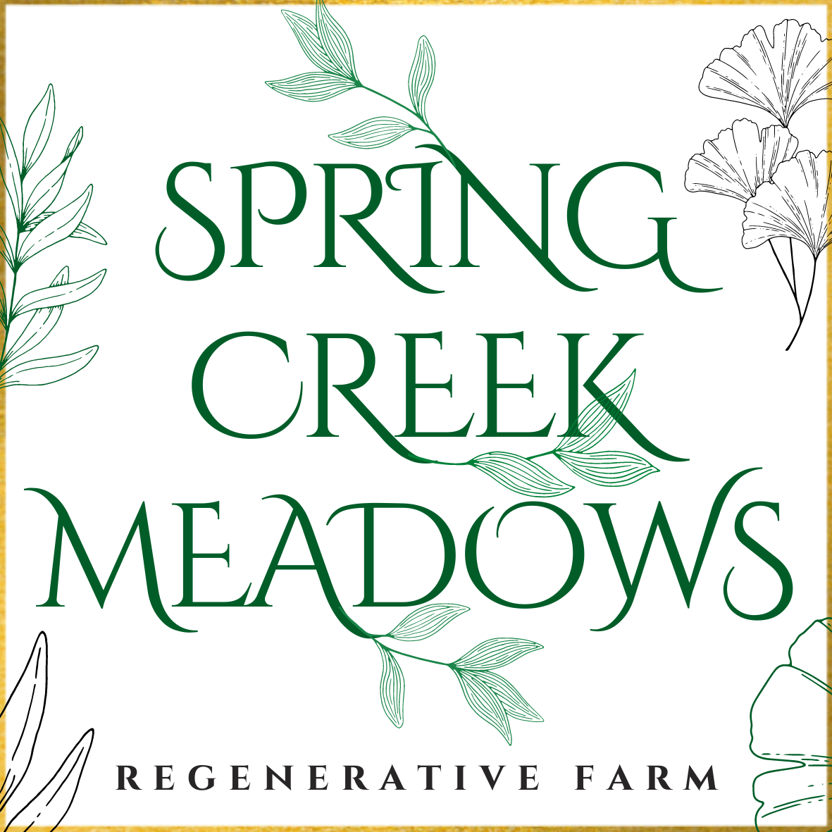Spring Creek Meadows