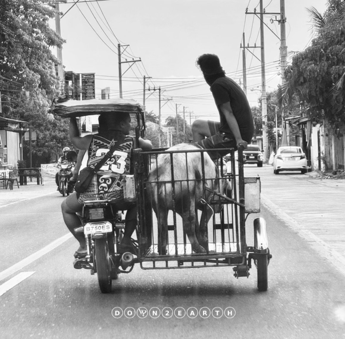 theWHOevers deliver some of their most reflective perspectives w/ release “DOWN 2 EARTH”