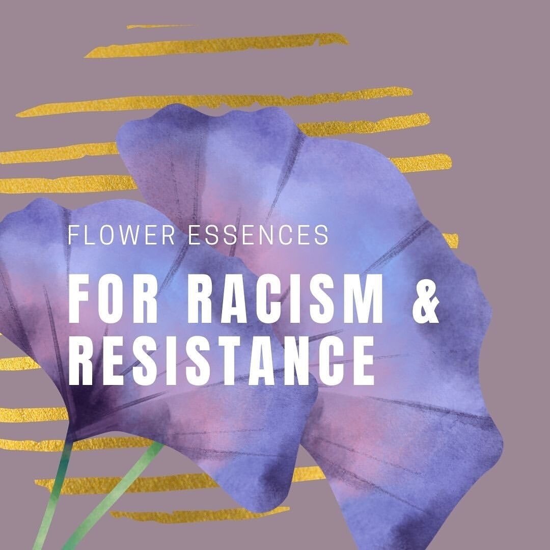 Racism has impacts on our minds, bodies, and souls, and can ripple through the generations of our families and communities. ⁣We&rsquo;re uplifting this list of flower essences that was created knowing that the impact of racism and racist behaviors ar