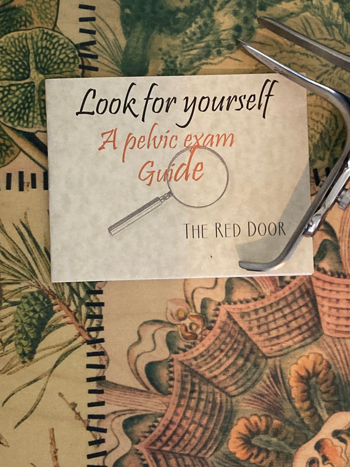 Look for yourself: A self-pelvic exam guide