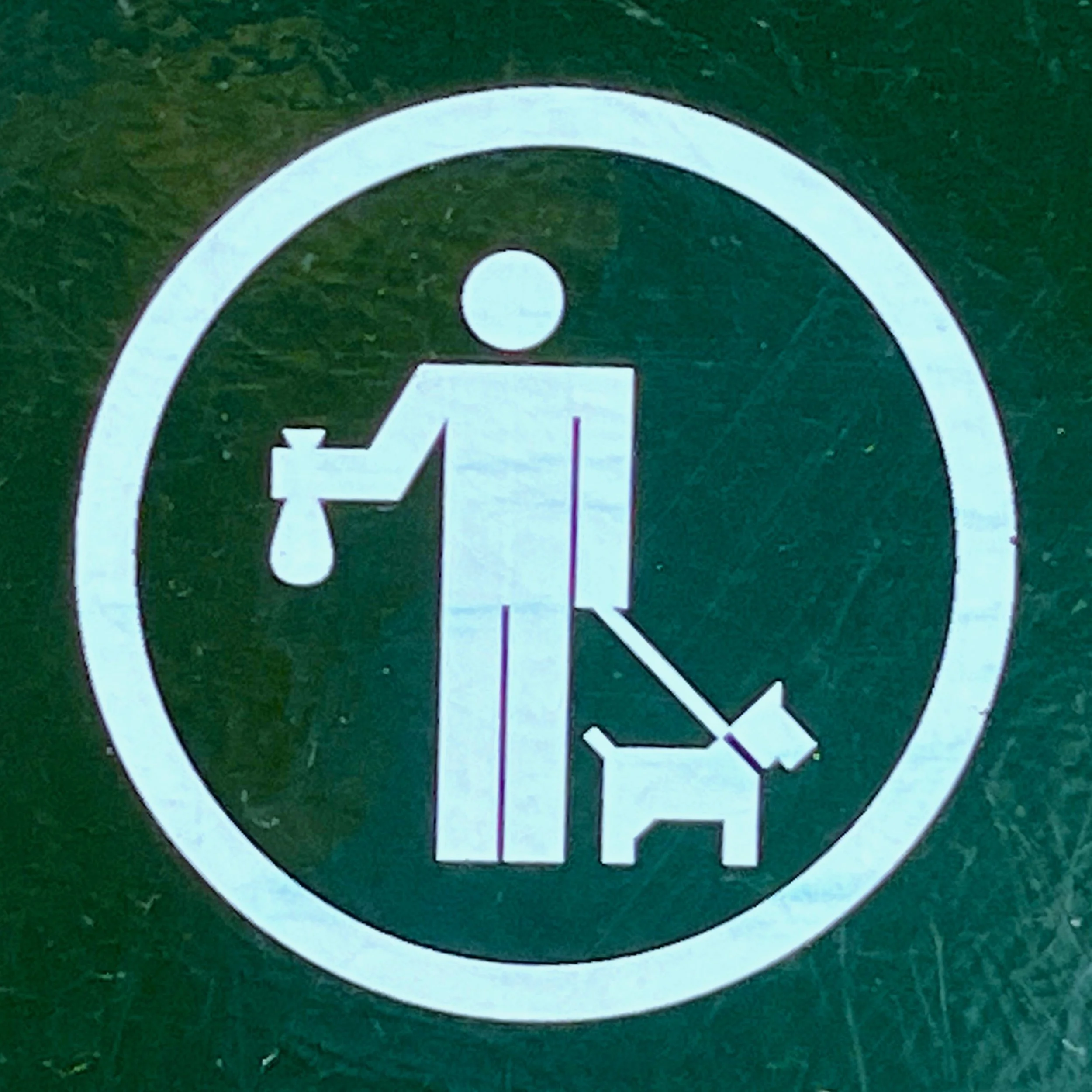 Dogs DPR logo.jpeg