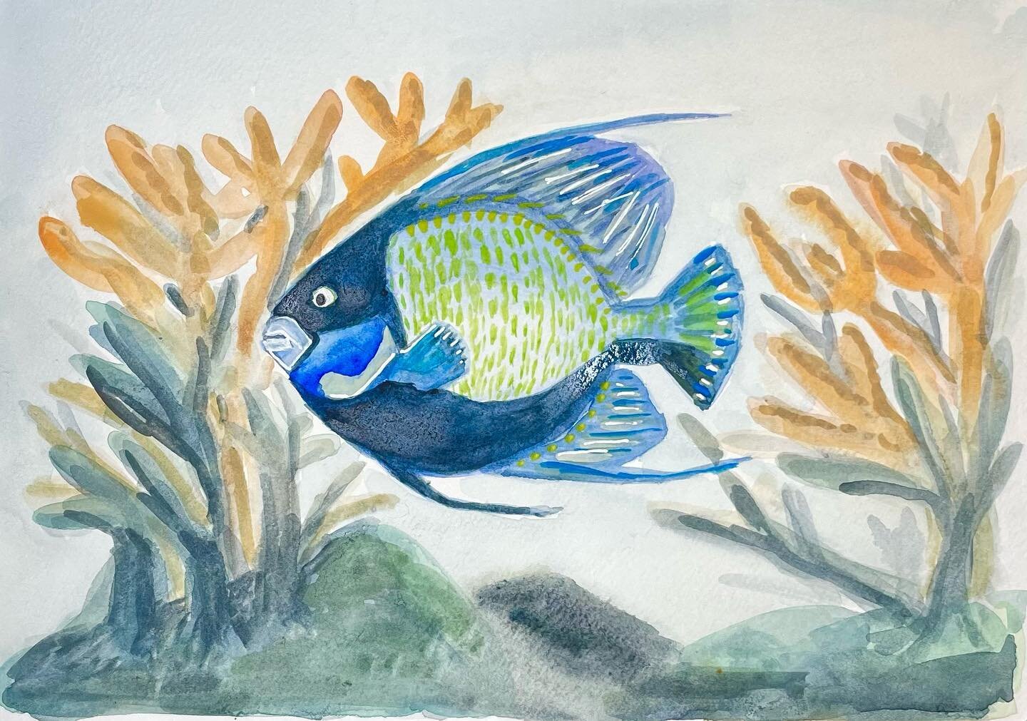 Aquarium take 2!