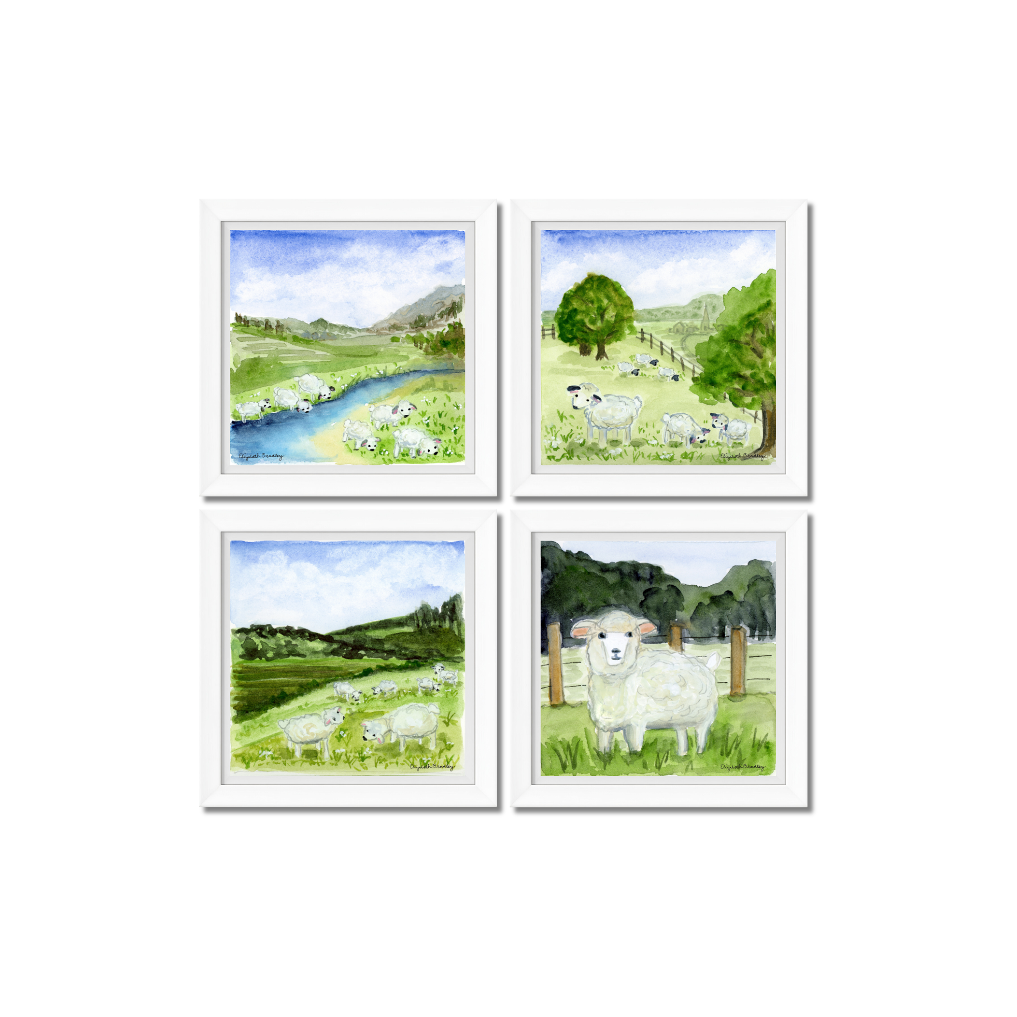 Sweet Sheep in Meadow