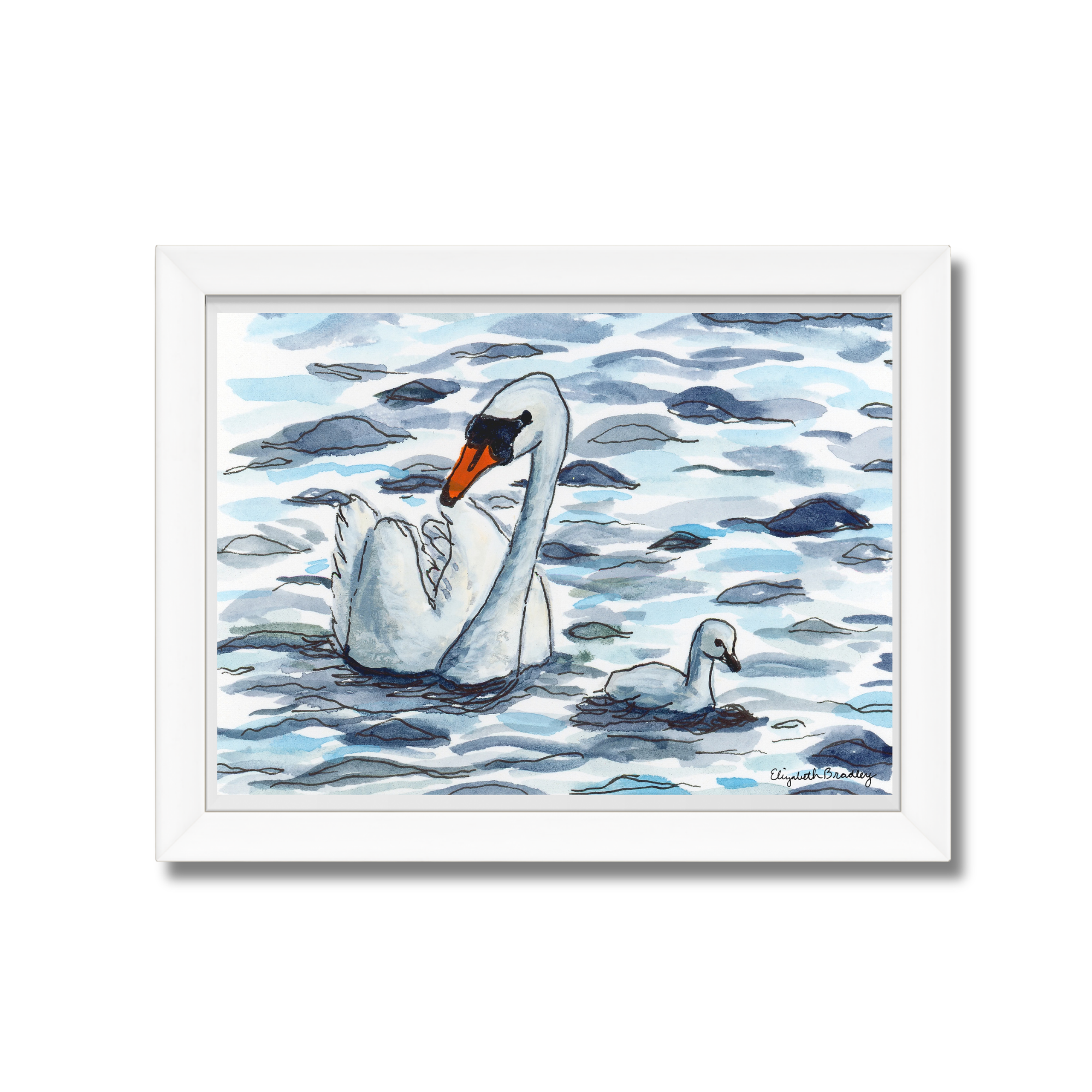 Swan and Cygnet Watercolor Print