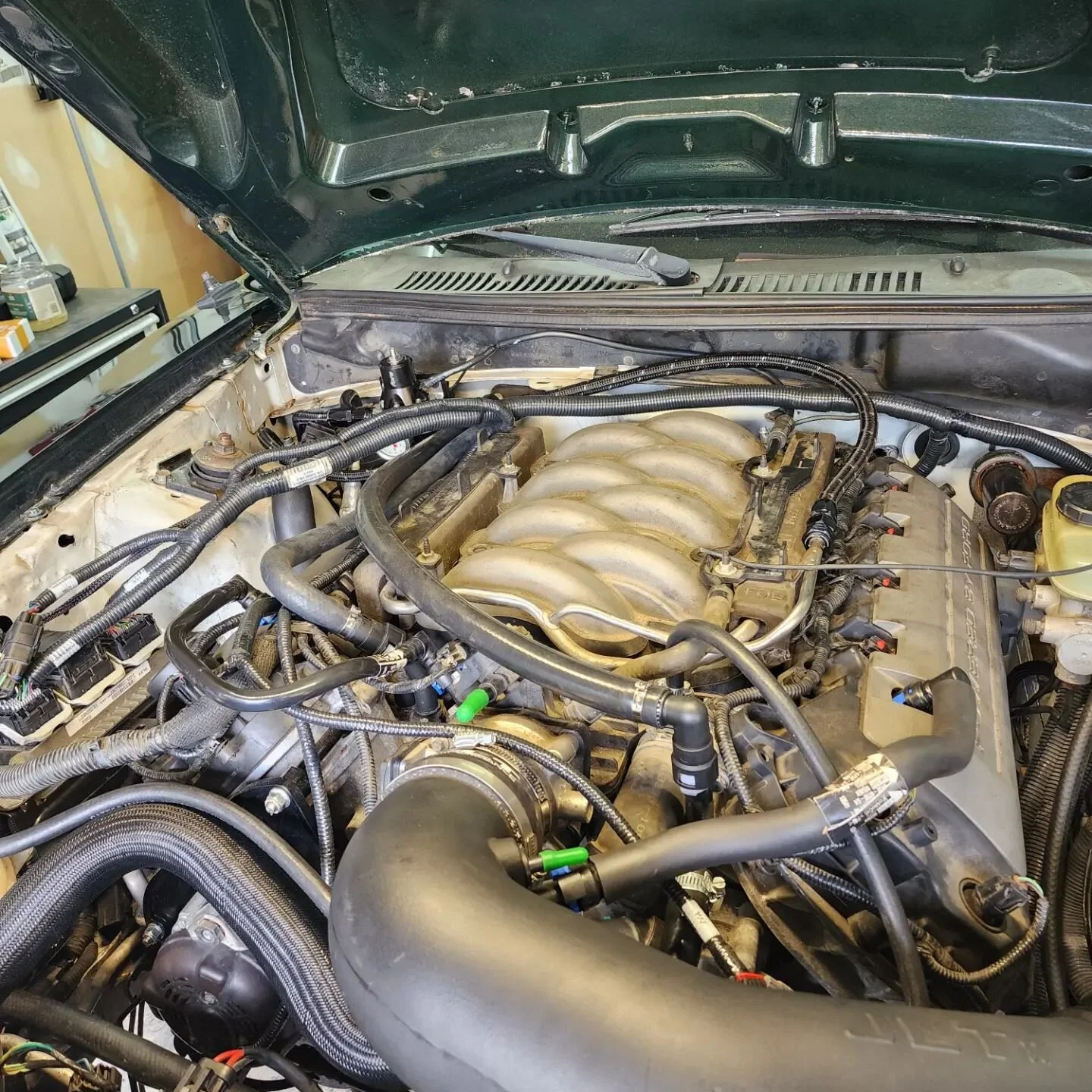 Around a year ago I posted a picture hinting at a future engine swap for the BMW. Well the truth is that engine was never destined for my car. It was going into this sn95 owned by zach_mcelroy44. I've been working on this project off and on for aroun
