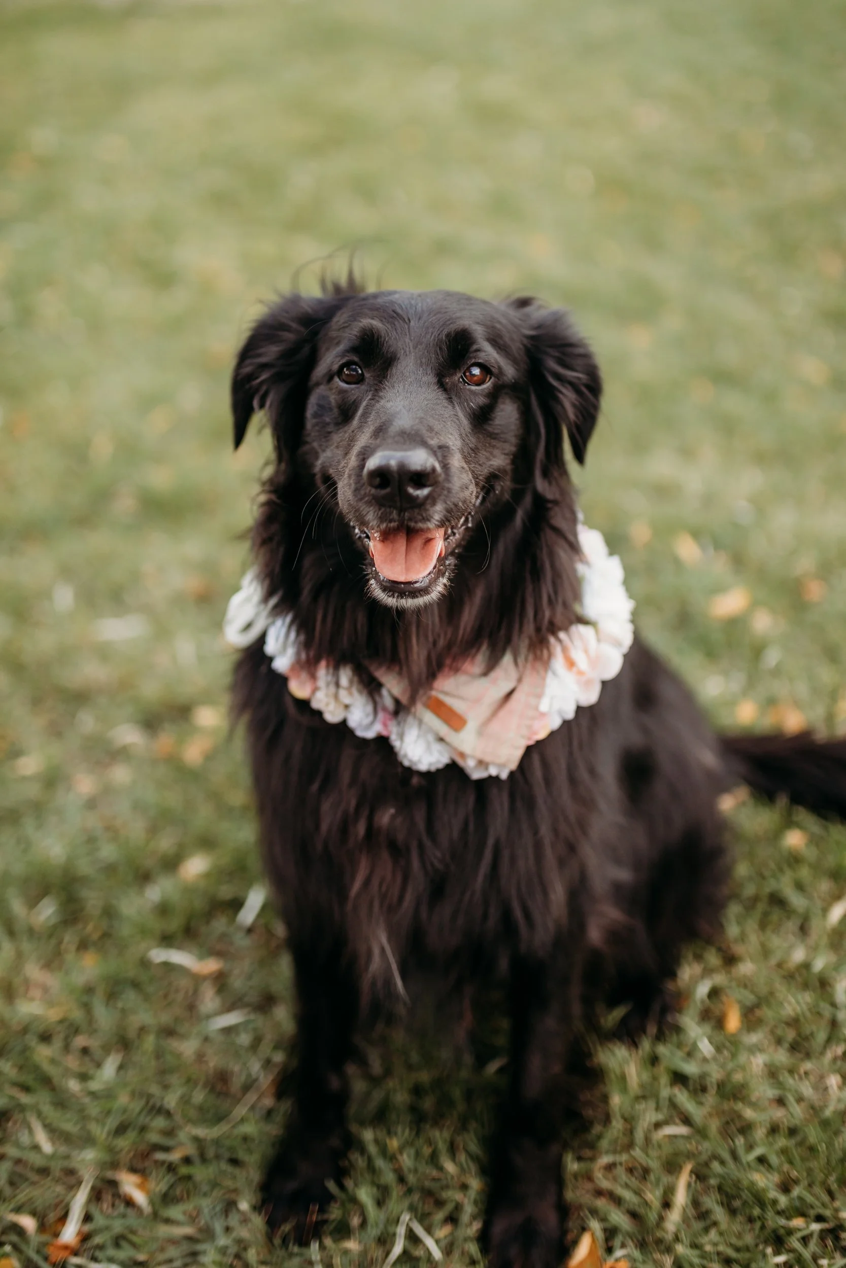 MomentsbyCaileyKamloopsWeddingPhotographer_MerrittBackyardWedding_0091.jpg