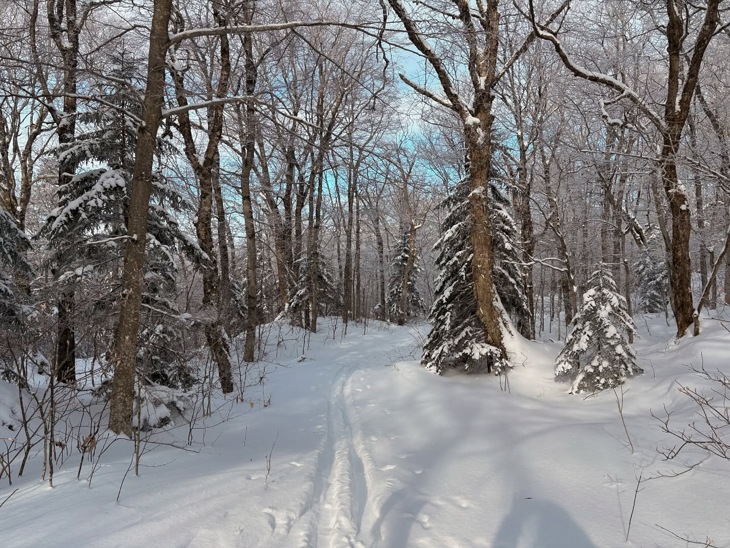 Some shots from a chilly but sunny trip over Romance Mountain today! Thanks to John and Sam for sharing your adventure! We hope you had a great time. 

Some details about the trail if you&rsquo;re thinking about trying it out: 

The Romance mountain 