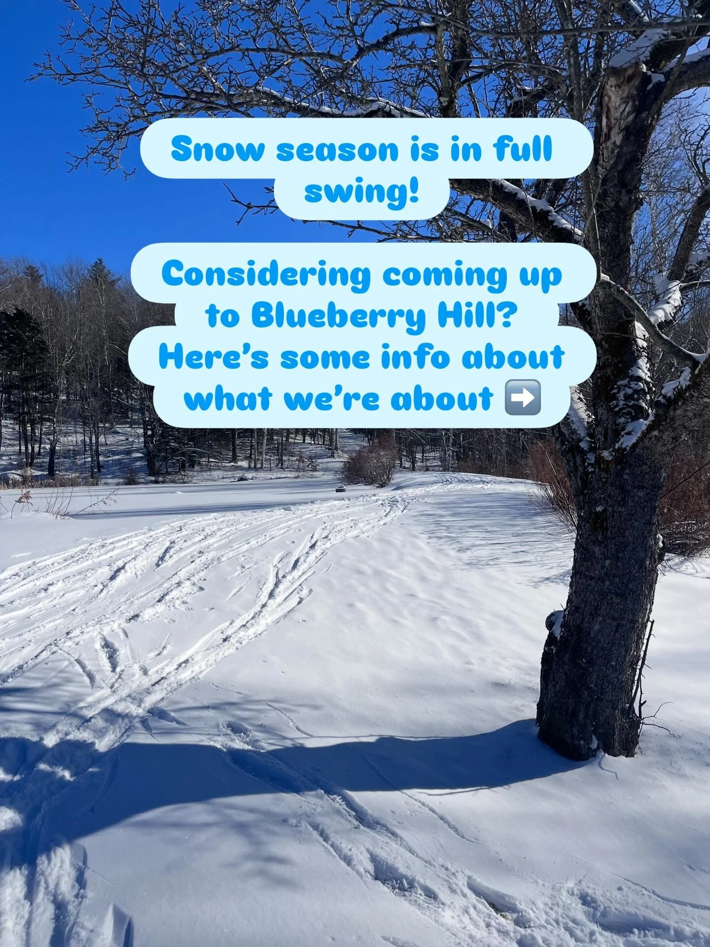 A few details for folks that might be new to BHOC! You can always message us if you have questions before coming up.