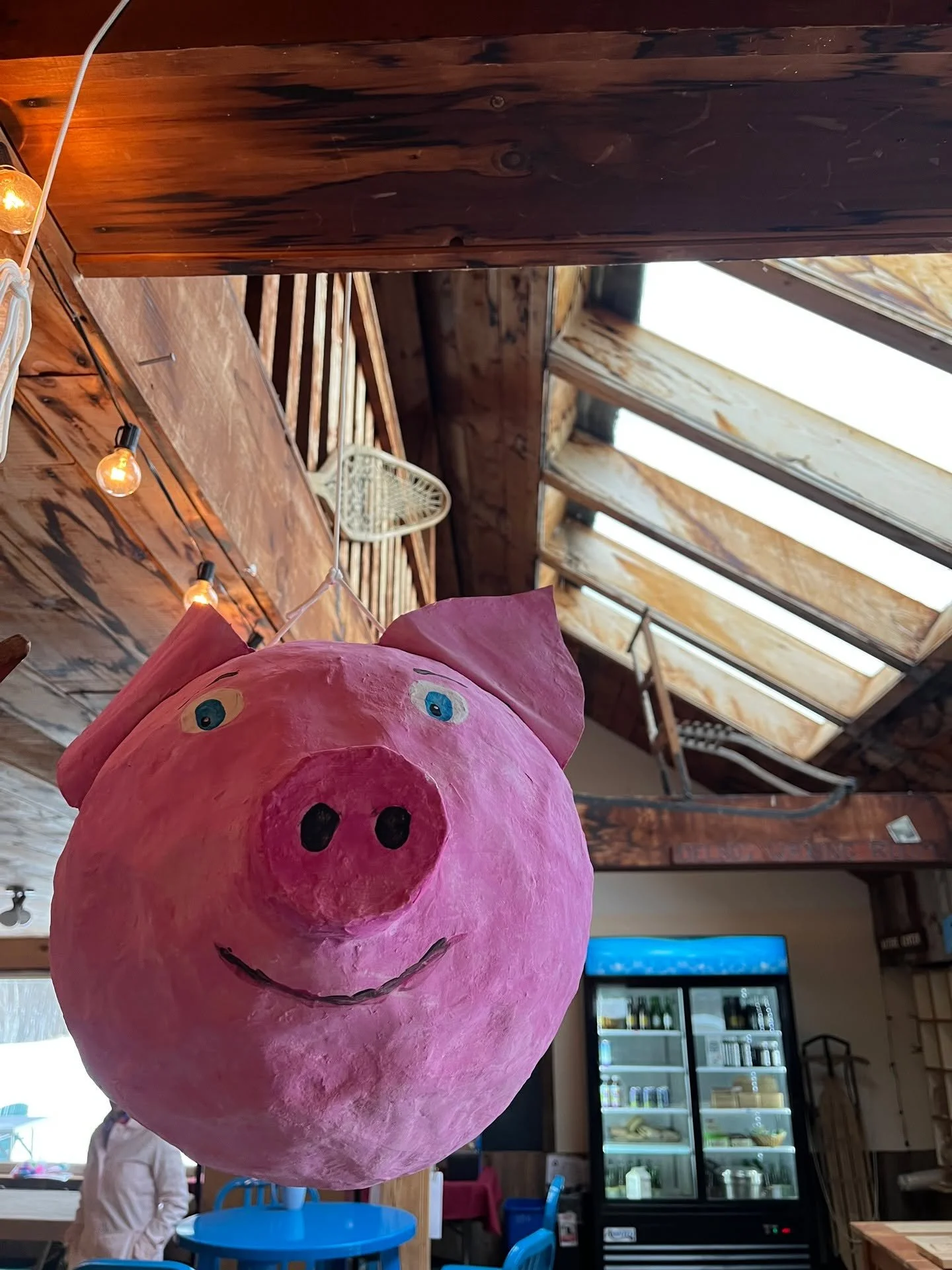 Pig Race Faces! Join us on Sunday March 8th for a goofy grand ol' time: a ski "race" and pig roast to celebrate a wonderful Vermont snow season. We recommend getting a good night of rest before the race for optimal race performance--luckily