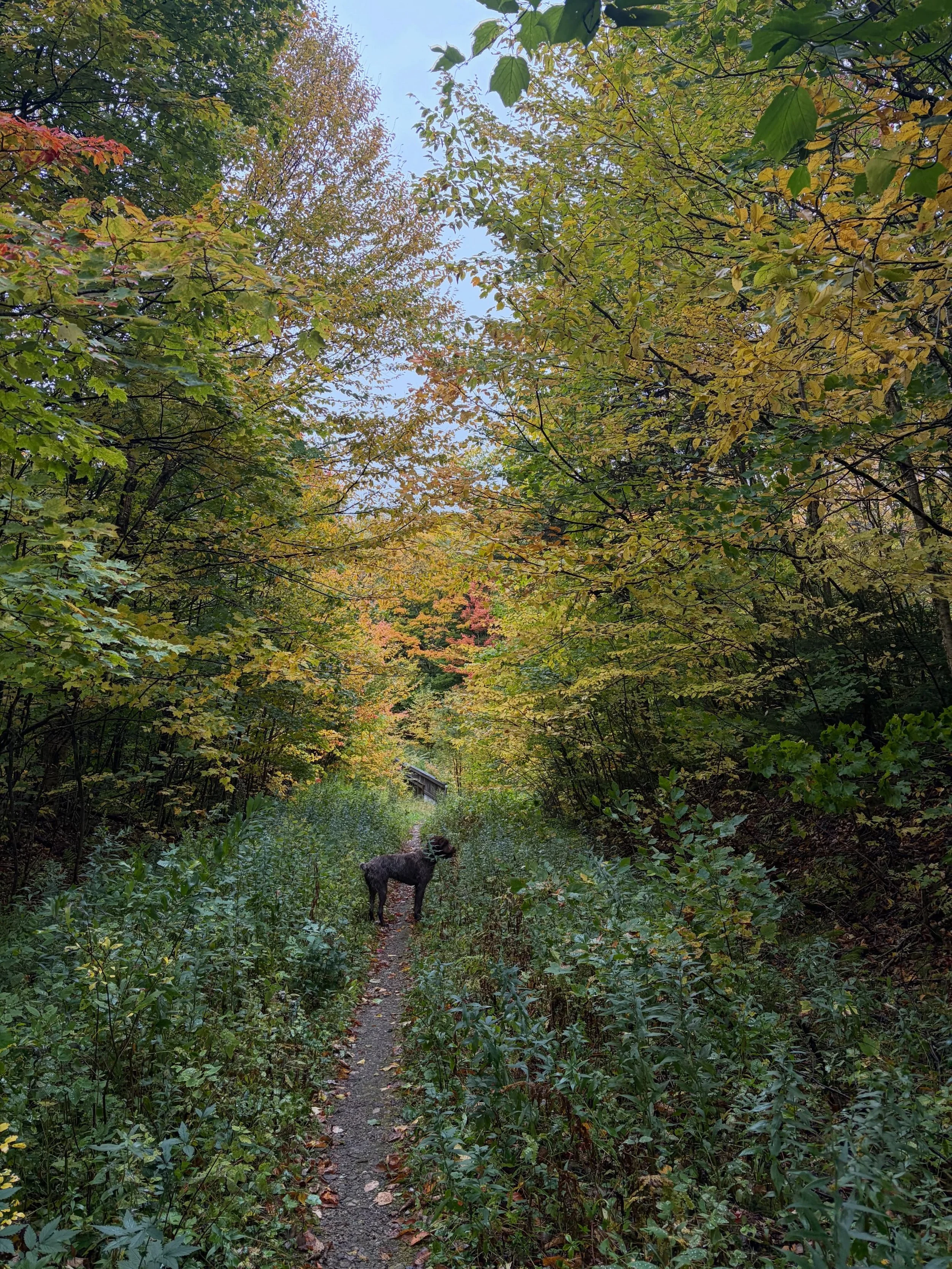 What a colorful year we&rsquo;ve had&mdash;nothing better than fall in Vermont! 

As we ease slowly into stick season, the Outdoor Center building will be open 10AM to 5PM through October, with limited hours after that. Camping will be open until the