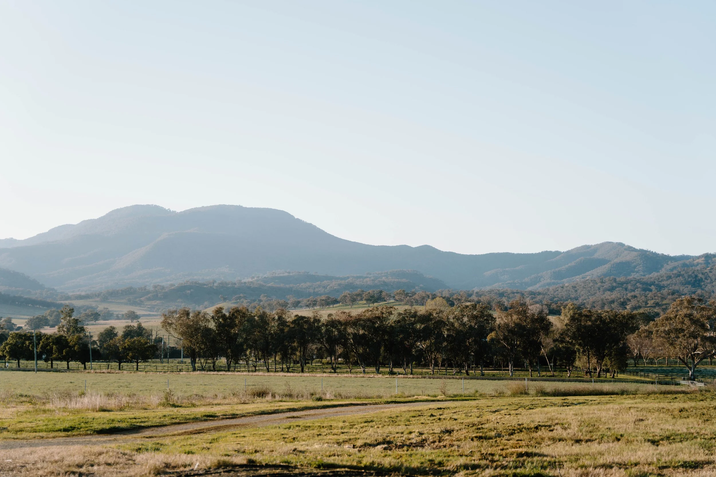 MableProjects_DSC2182_September 02, 2025.jpg