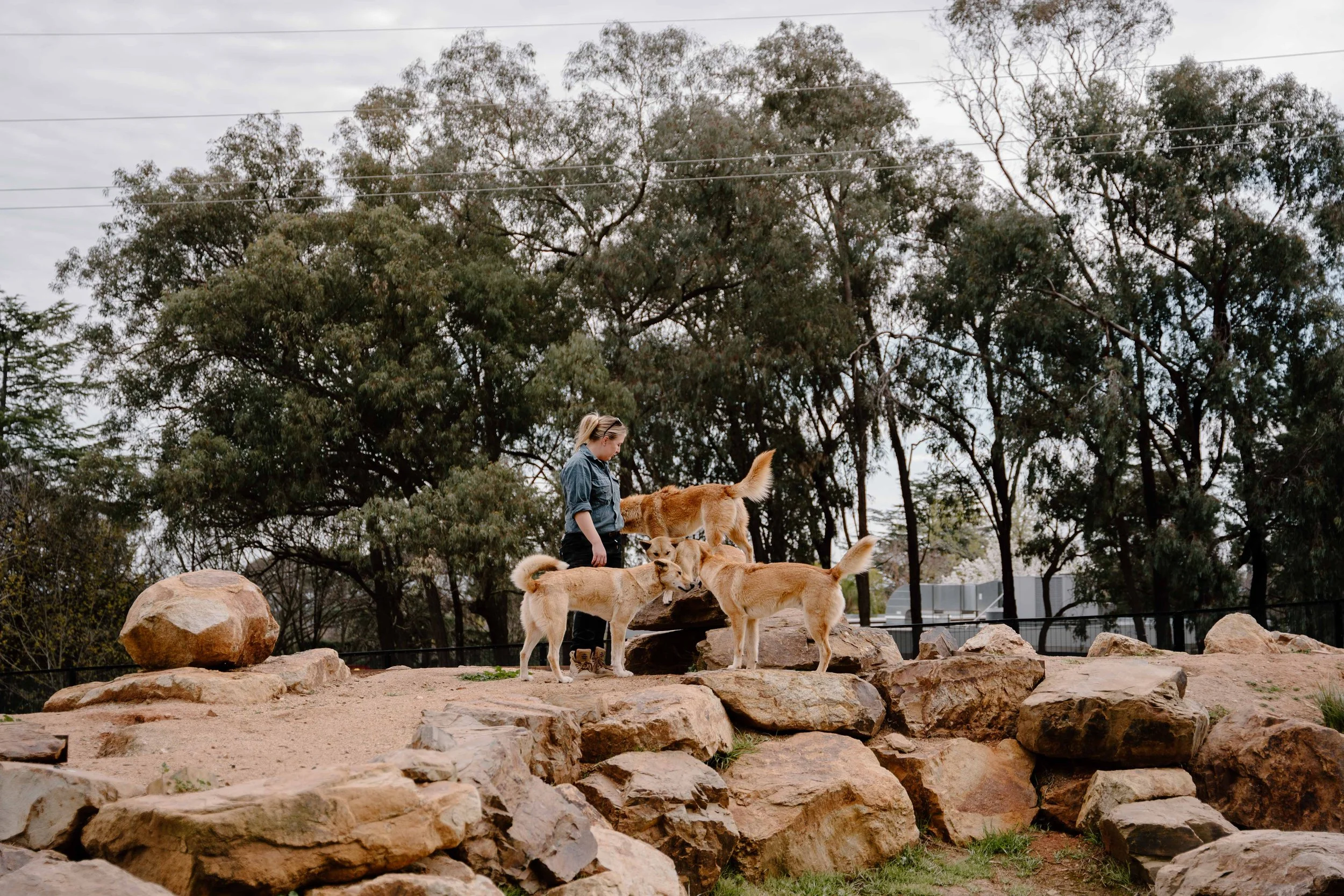 WWCCMic'edUpSeries_DSC3877_September 05, 2024_SocialFormat.jpg