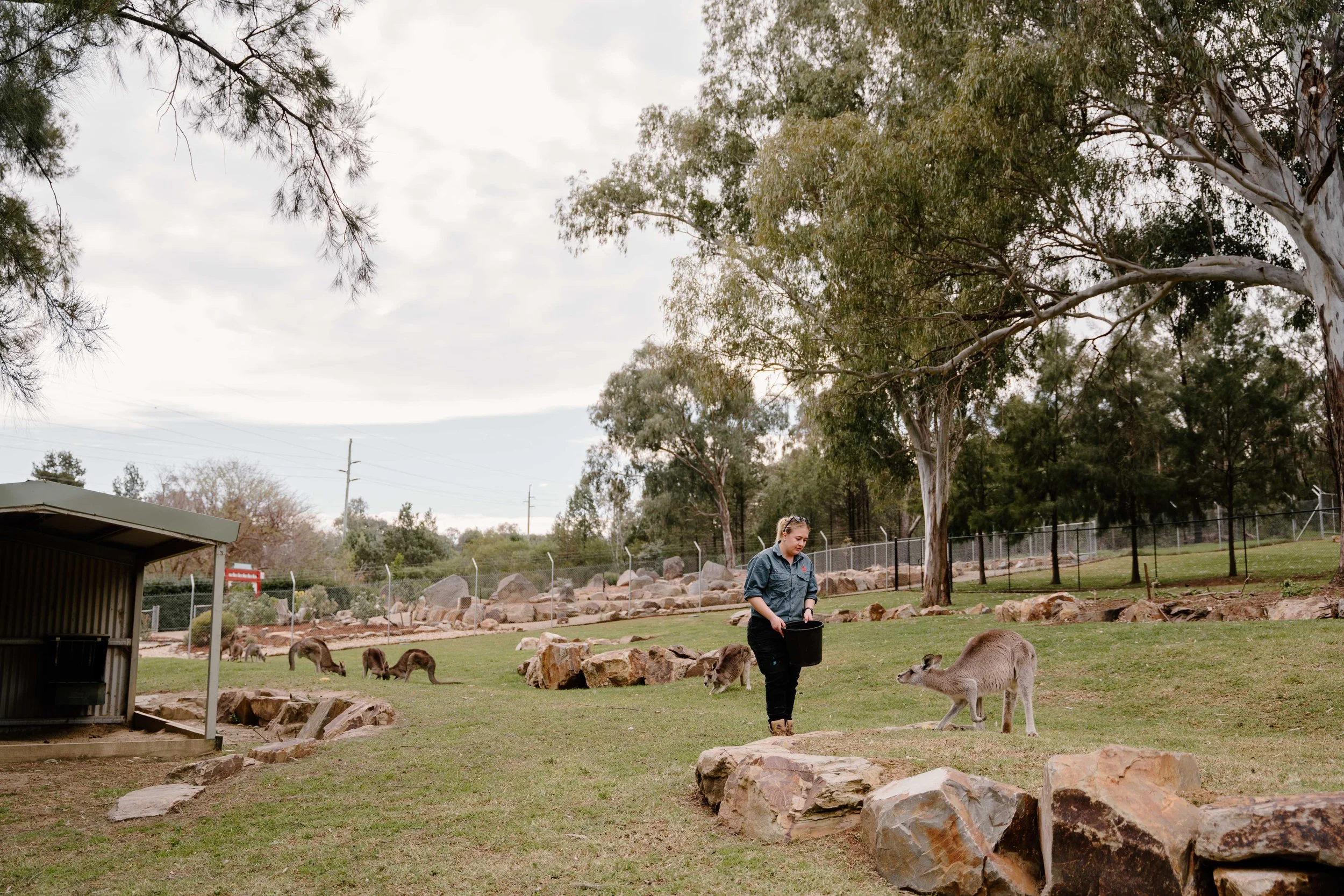 WWCCMic'edUpSeries_DSC3886_September 05, 2024_SocialFormat.jpg