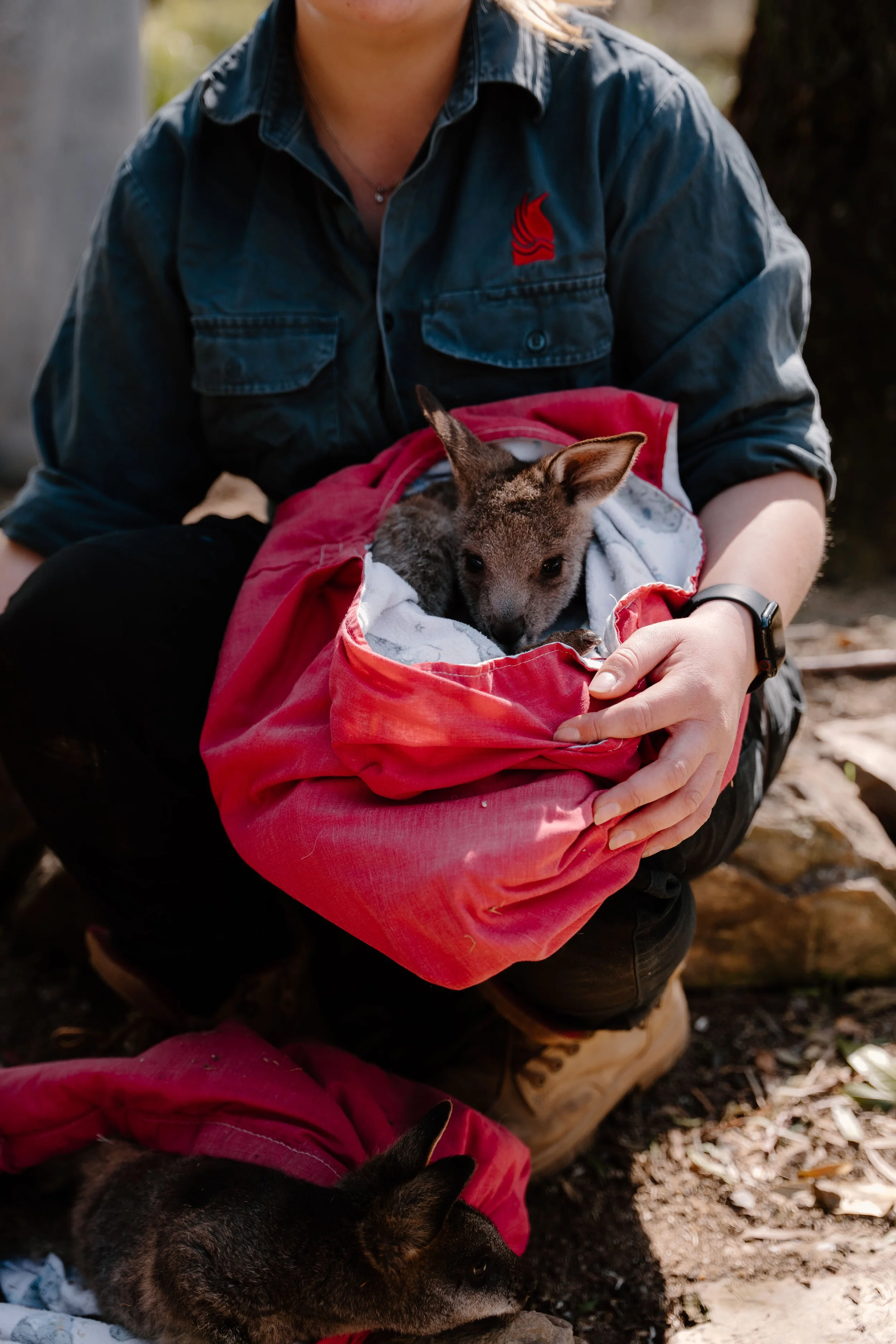 WWCCMic'edUpSeries_DSC3897_September 05, 2024_SocialFormat.jpg