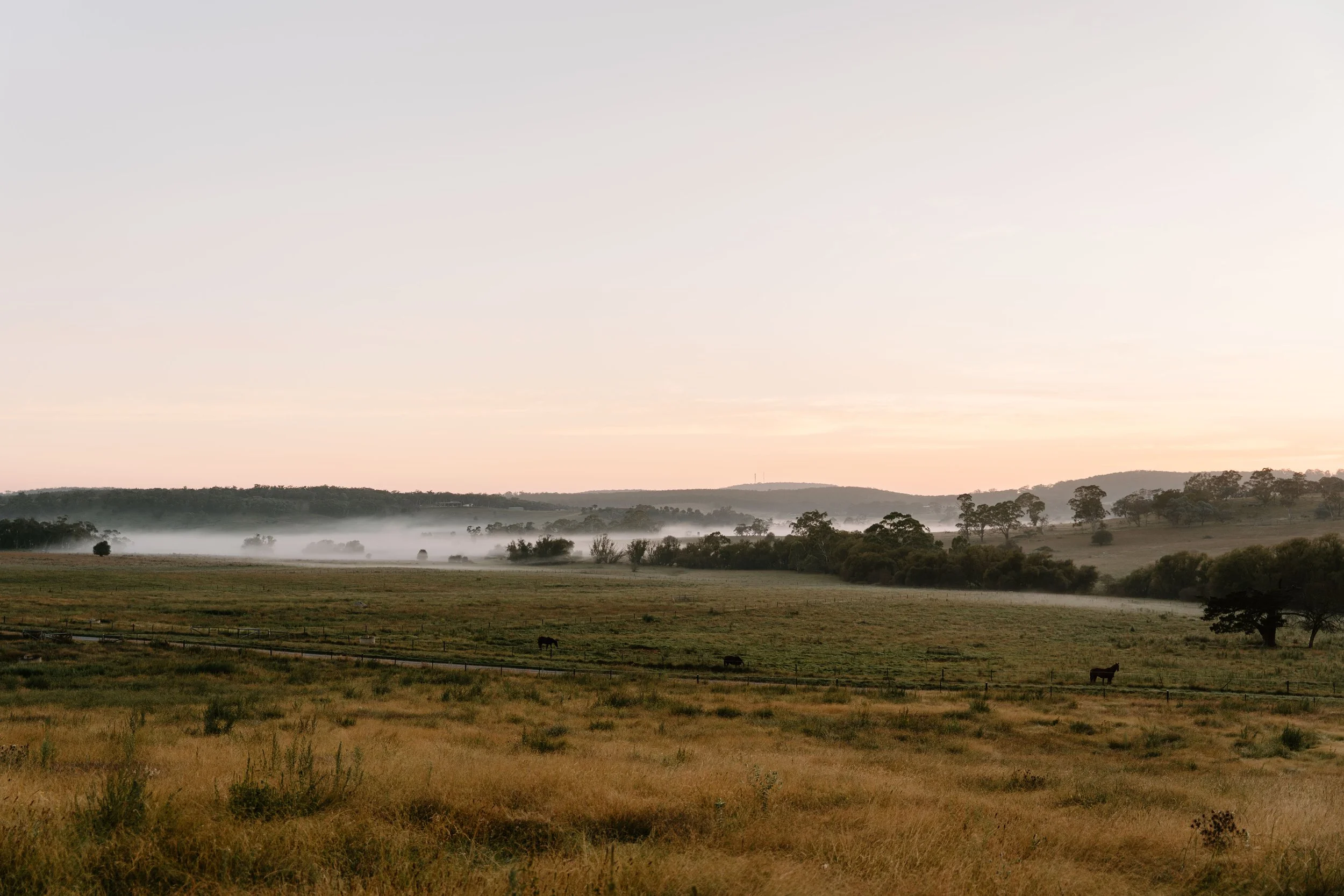 Twynam_DSC7516_March 06, 2024_Socials.jpg