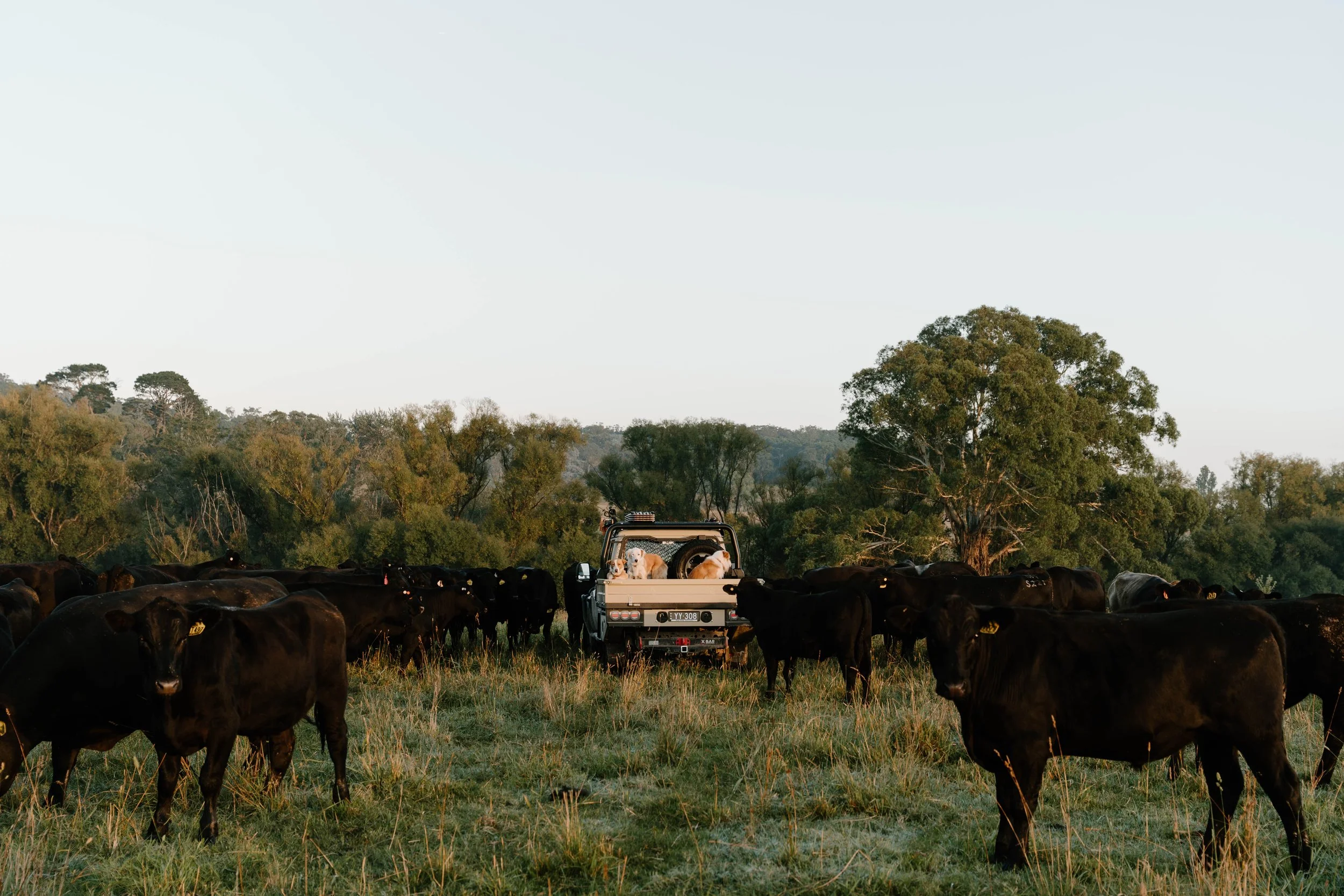 Twynam_DSC7537_March 06, 2024_Socials.jpg