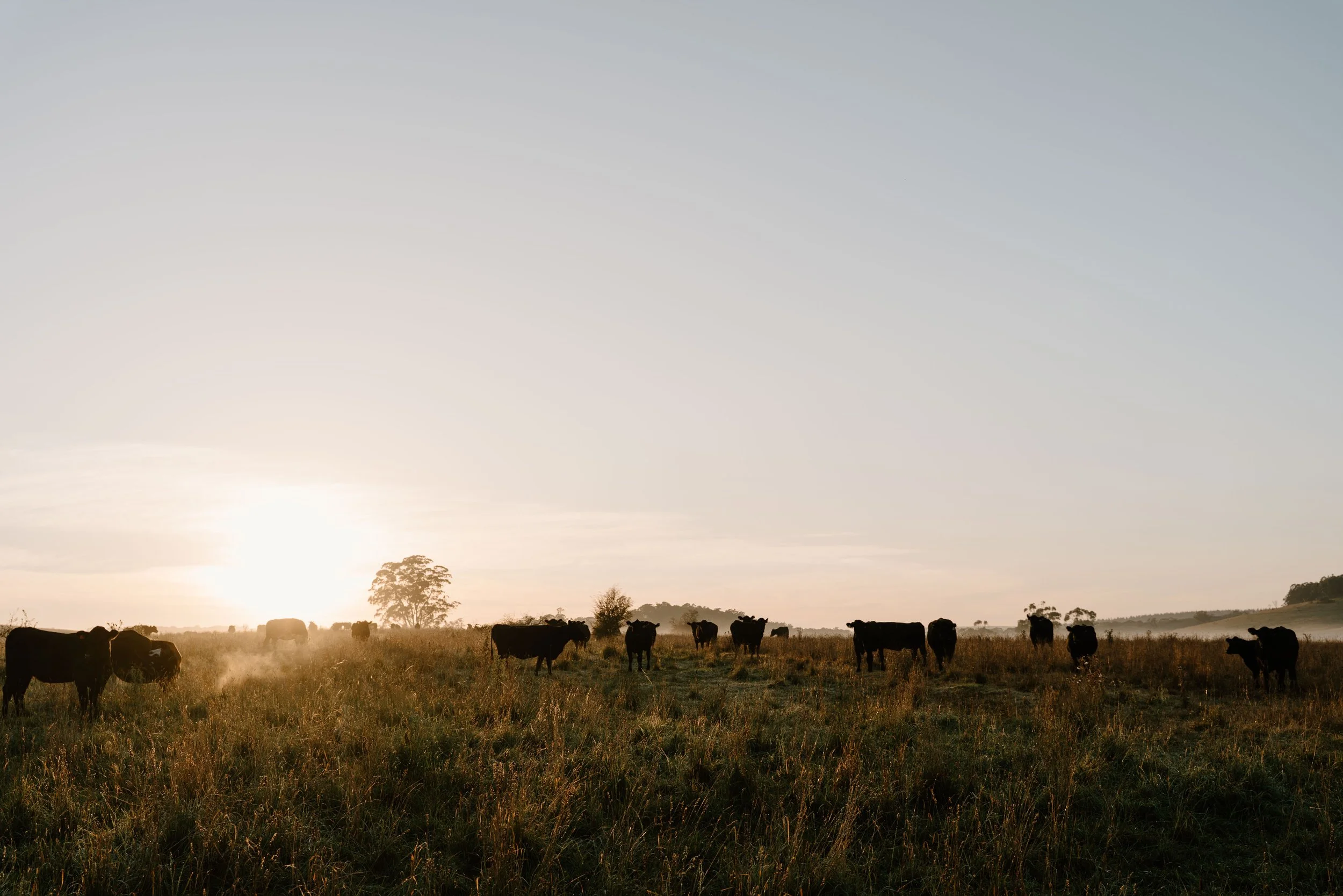 Twynam_DSC7539_March 06, 2024_Socials.jpg