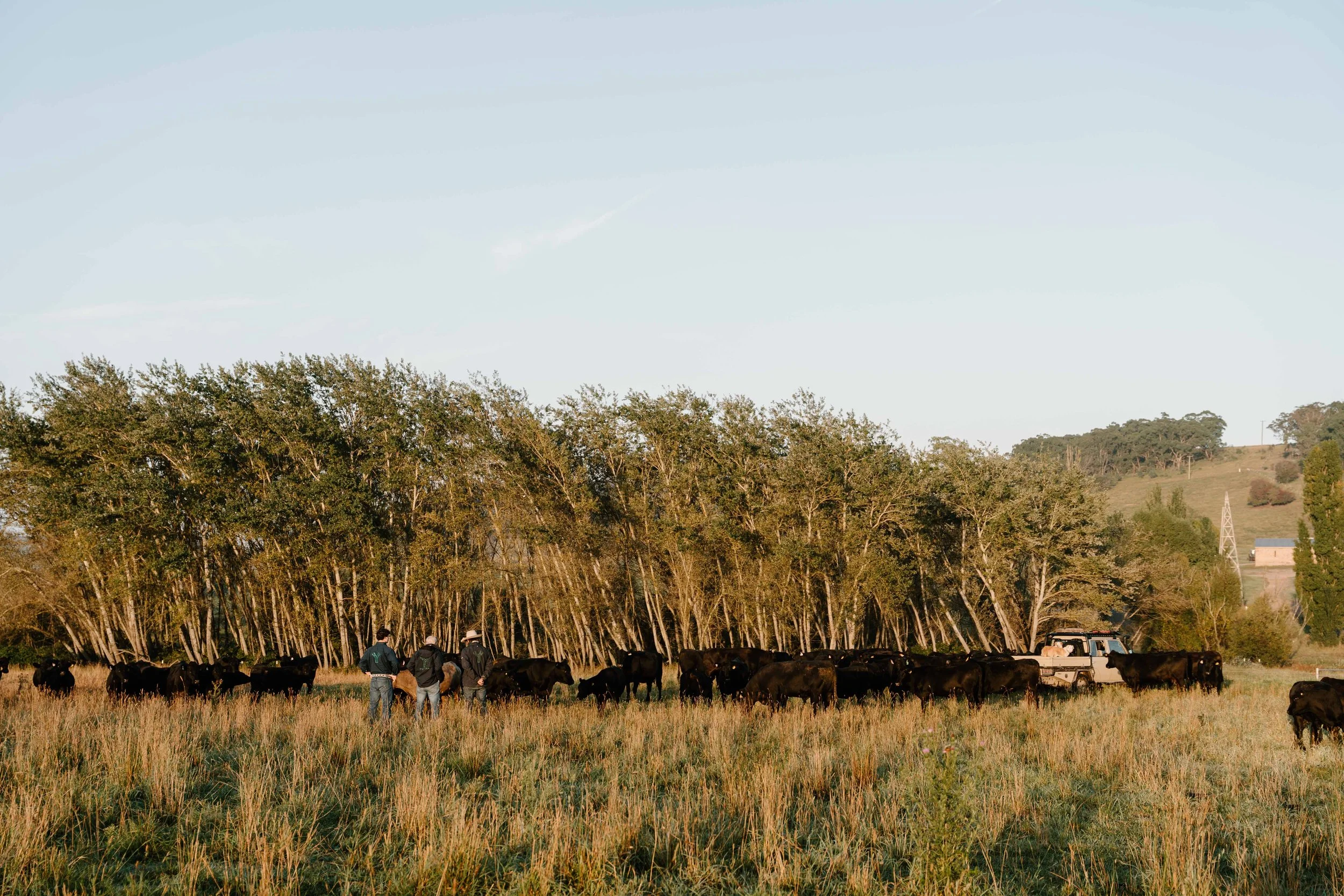 Twynam_DSC7574_March 06, 2024_Socials.jpg