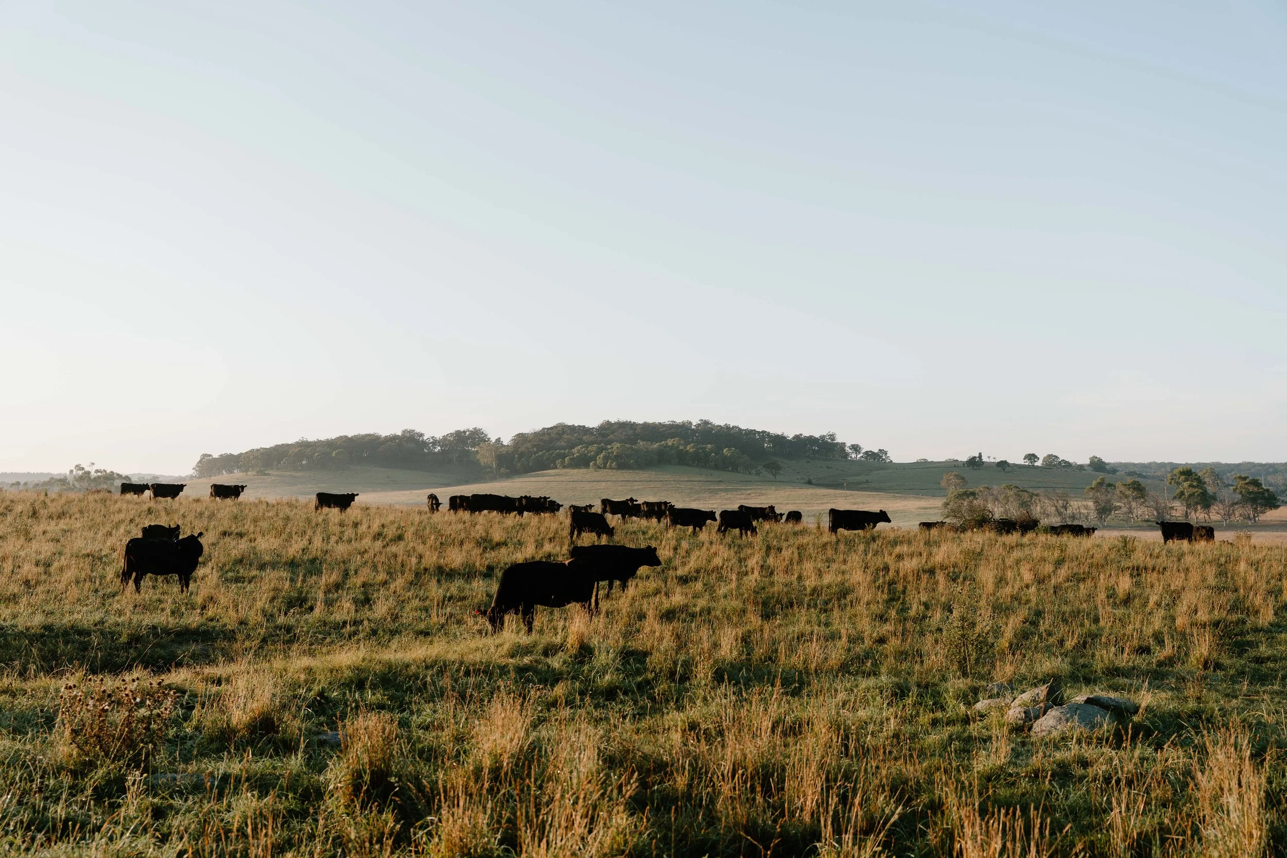 Twynam_DSC7601_March 06, 2024_Socials.jpg